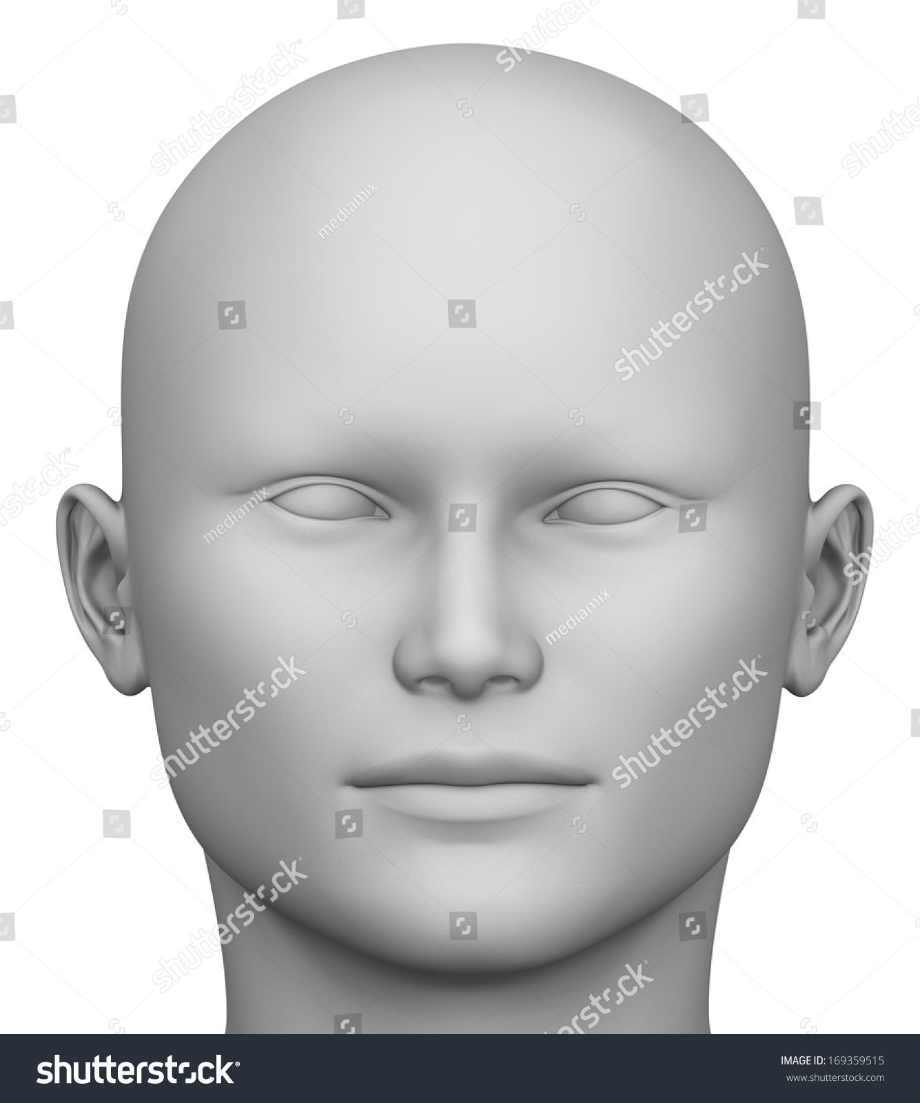 Human Head Isolated On White Background Stock Illustration 169359515 ...