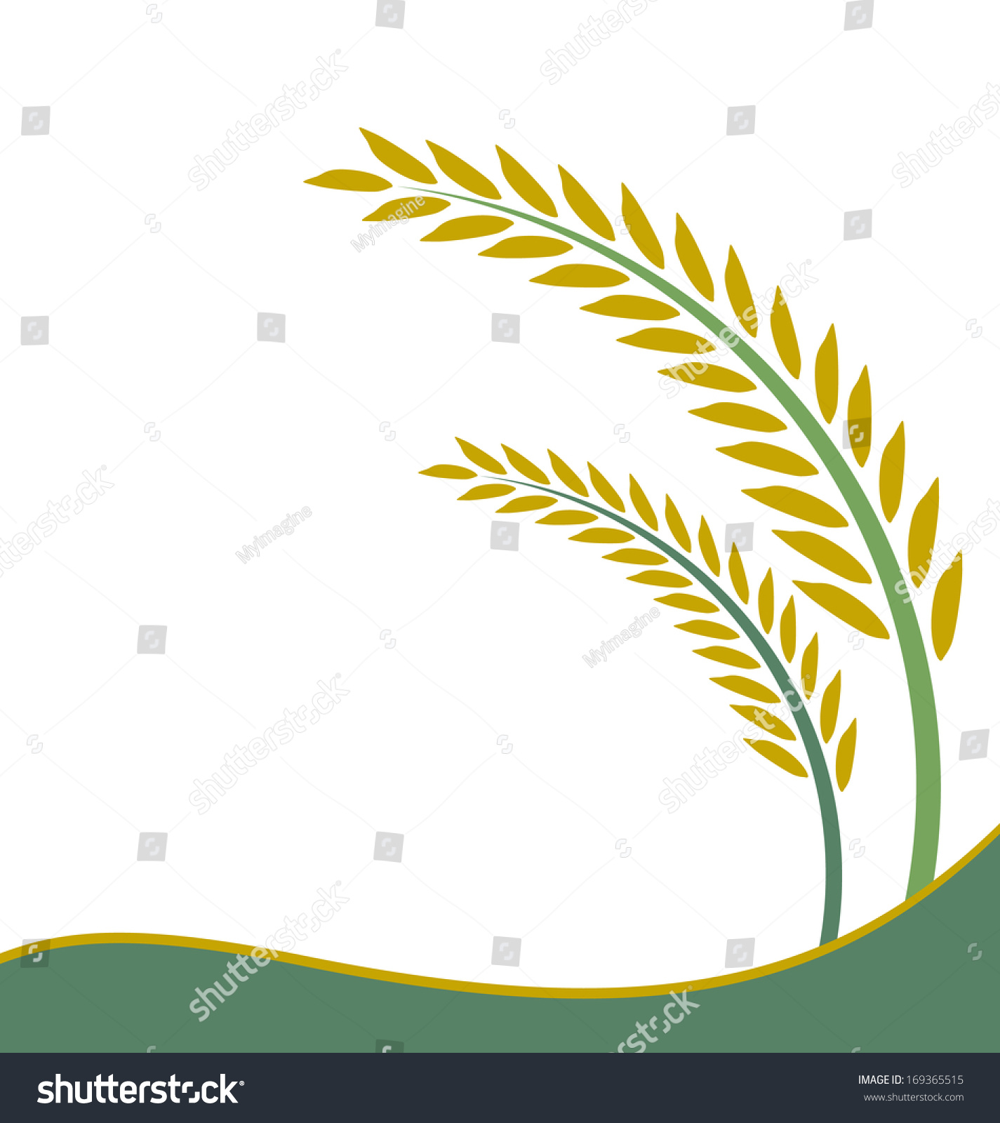 Rice Design On White Background Stock Vector (Royalty Free) 169365515 ...