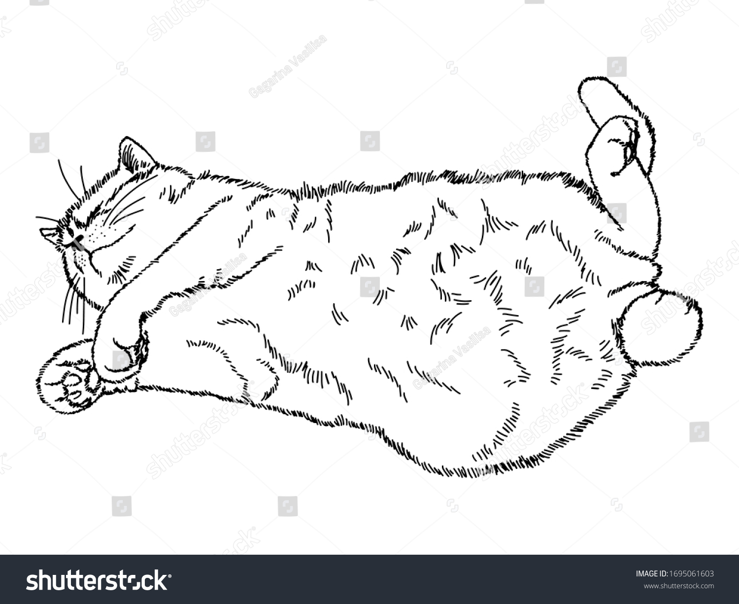 Кот лежащий на спине раскраска