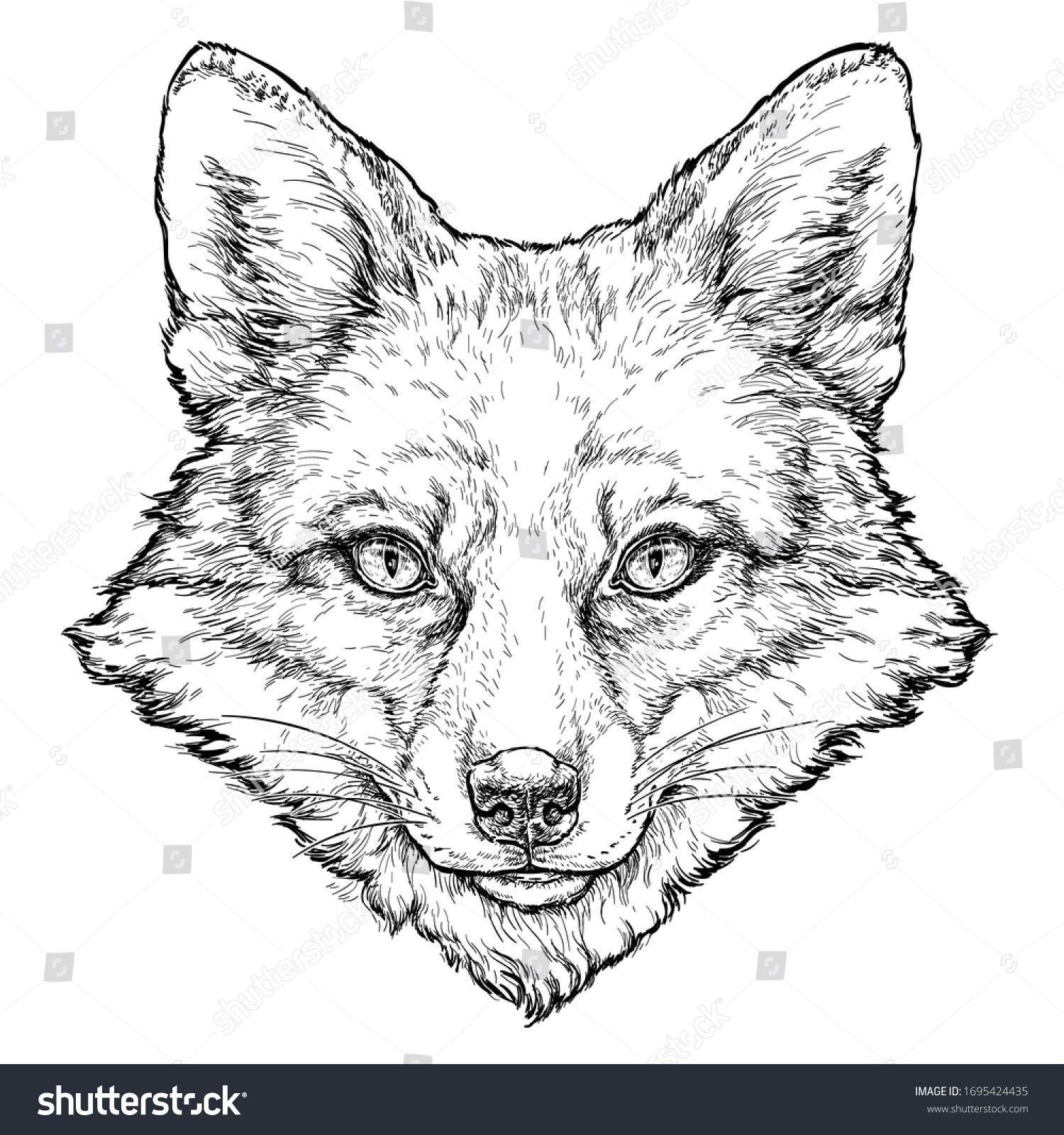 Fox Hand Drawn Vector Illustration Stock Vector (Royalty Free ...