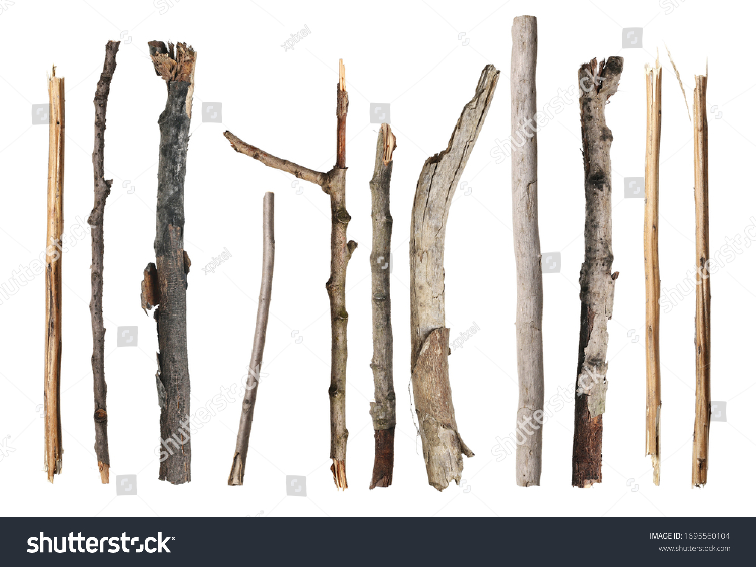 13,021 Burnt Branches Images, Stock Photos & Vectors | Shutterstock