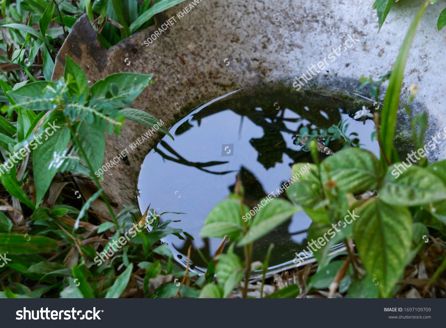 Stagnant Water Inactive Old Container Clean Stock Photo 1697109709 ...