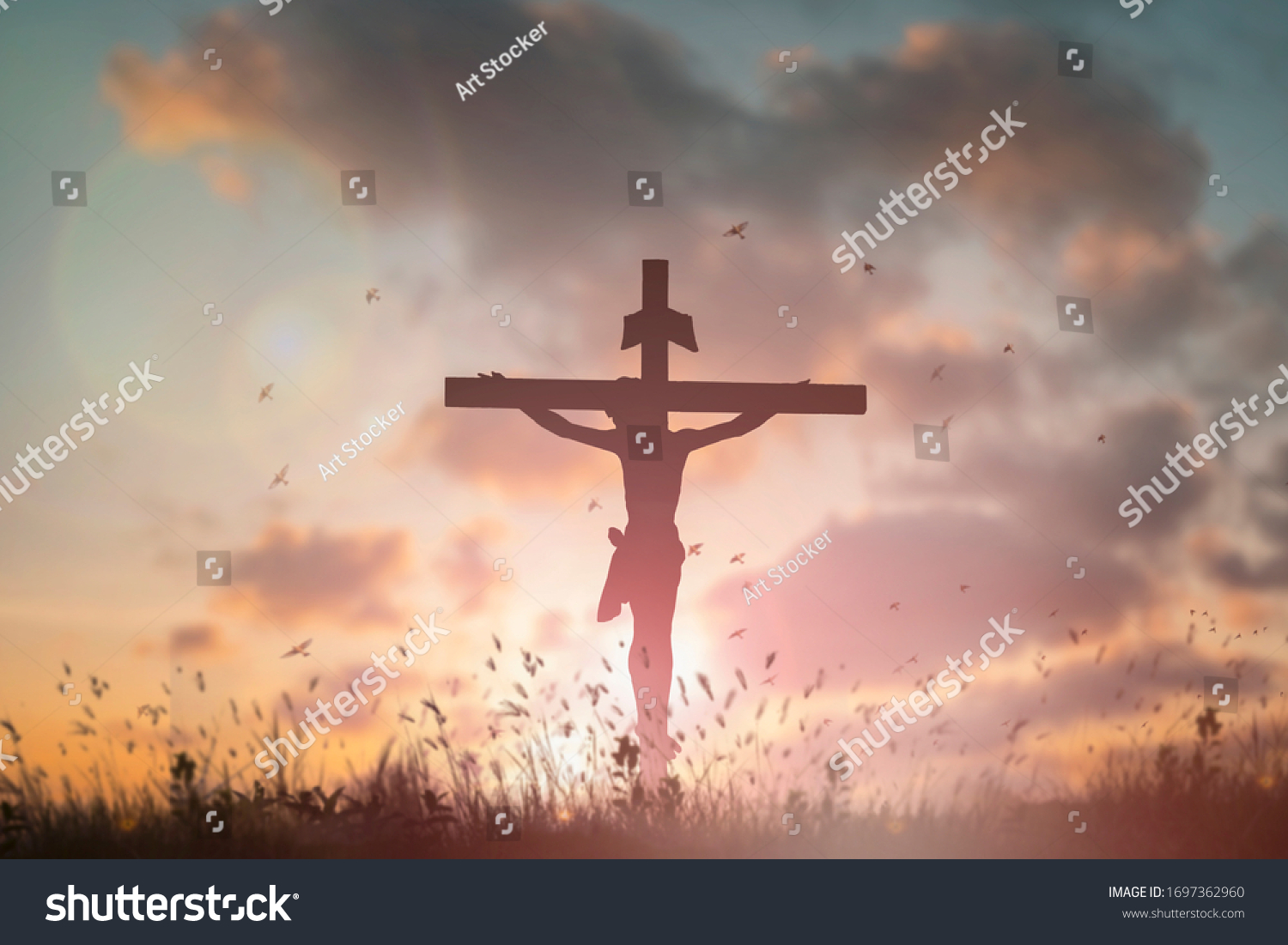 picture of jesus on cross passion of the christ