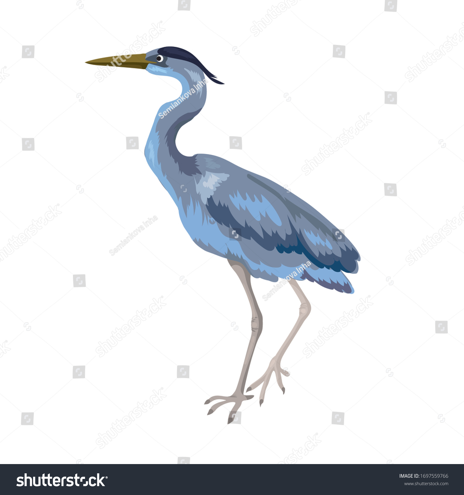 Vector Illustration Wild Gray Heron Stands Stock Vector (royalty Free 