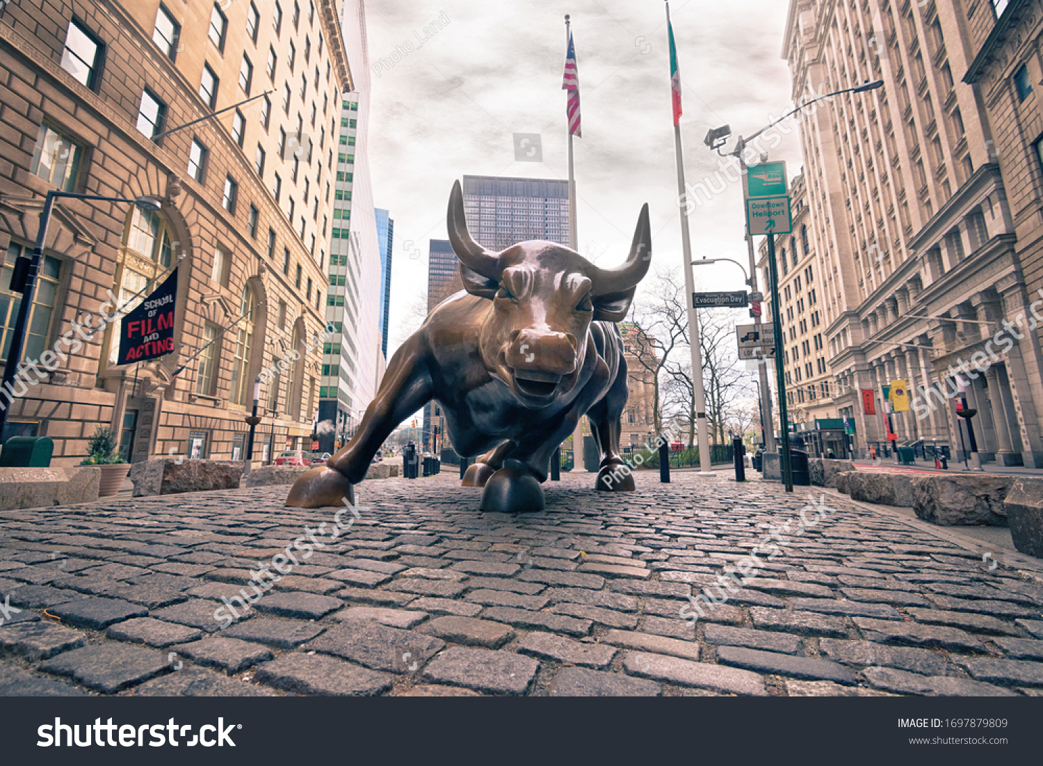 wall street bull