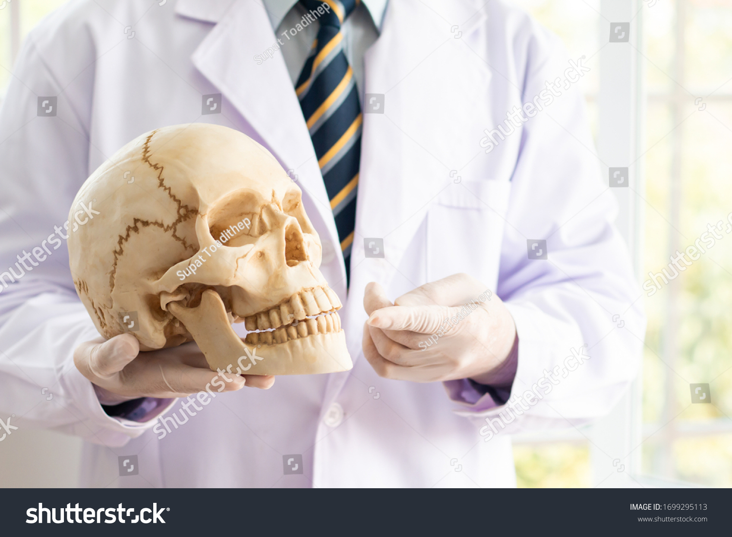 Doctor Holding Human Skull His Hands Stock Photo 1699295113 | Shutterstock