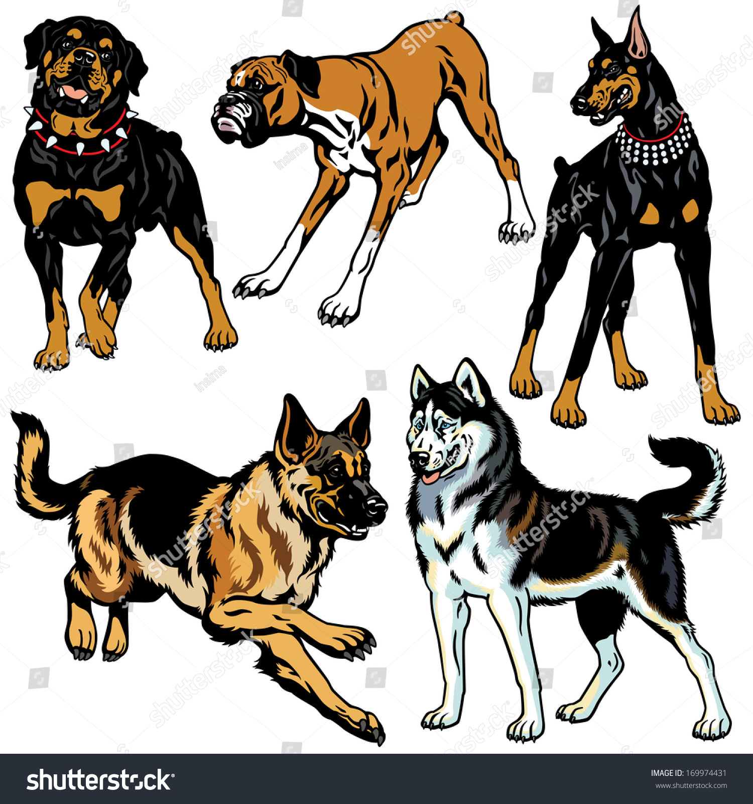 Собаки для рисования нескольких пород