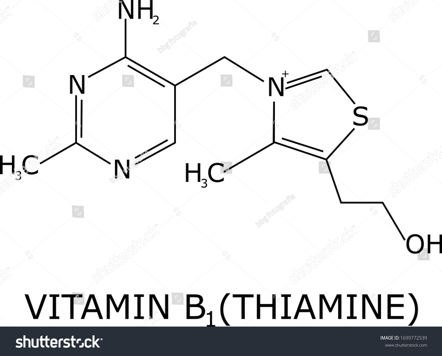 Vitamin B1 Molecular Structure Vector Isolated Stock Vector (Royalty ...