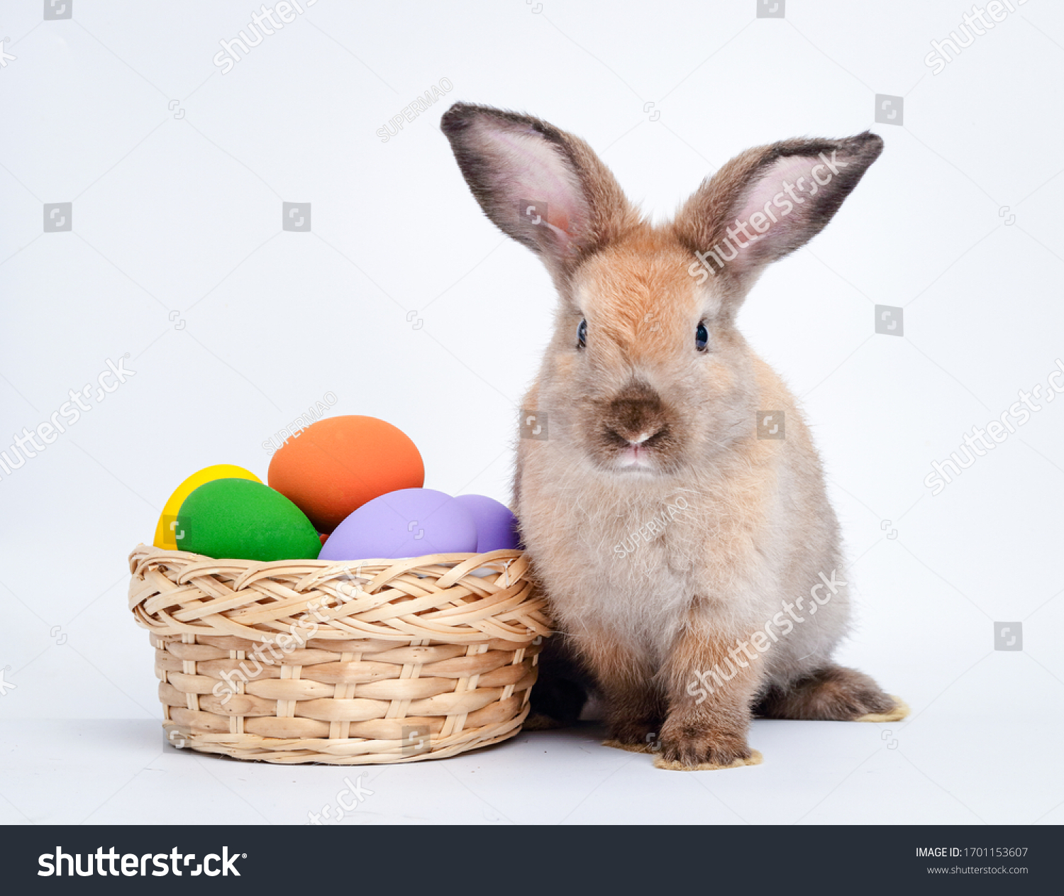 Cute Little Brown Rabbit Basket Easter Stock Photo 1701153607 ...