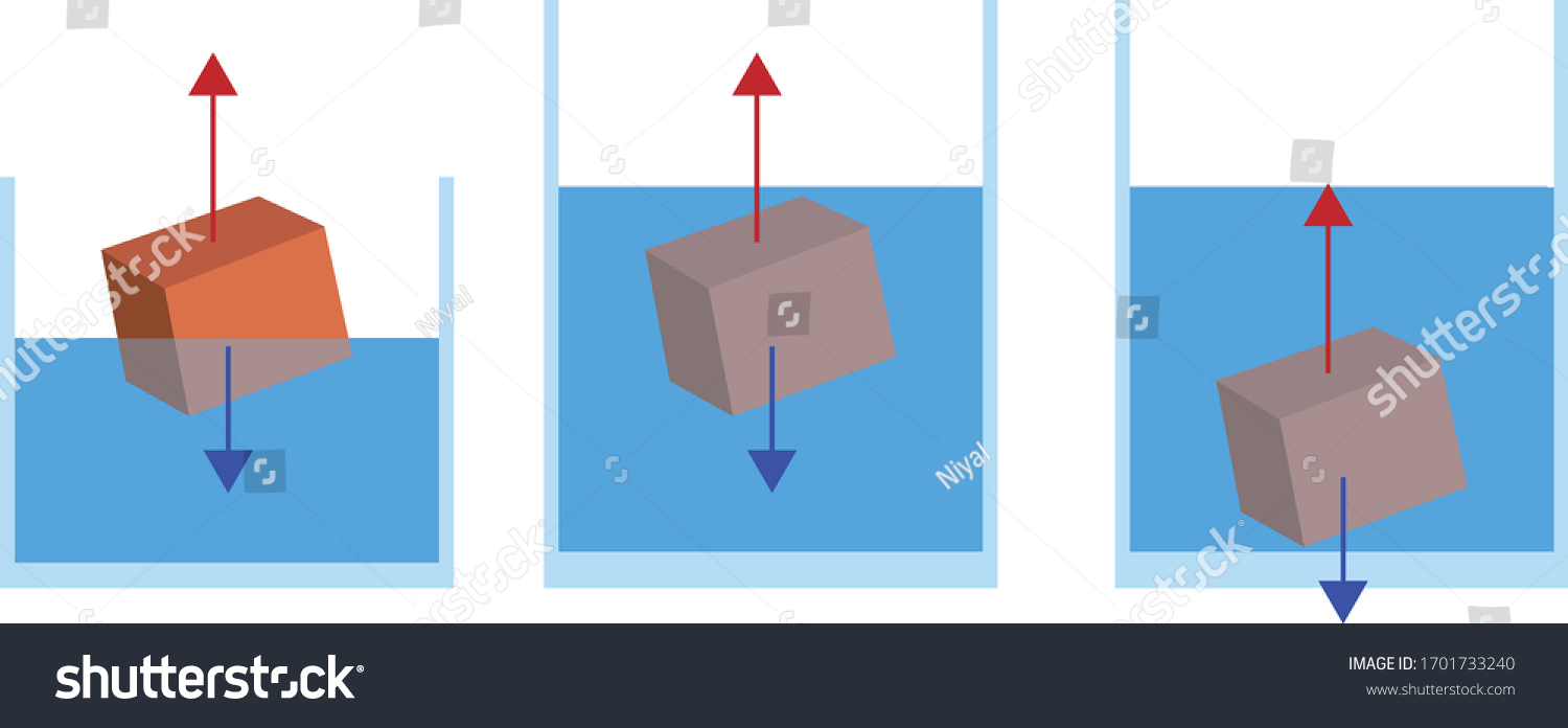 physics eureka can experiment