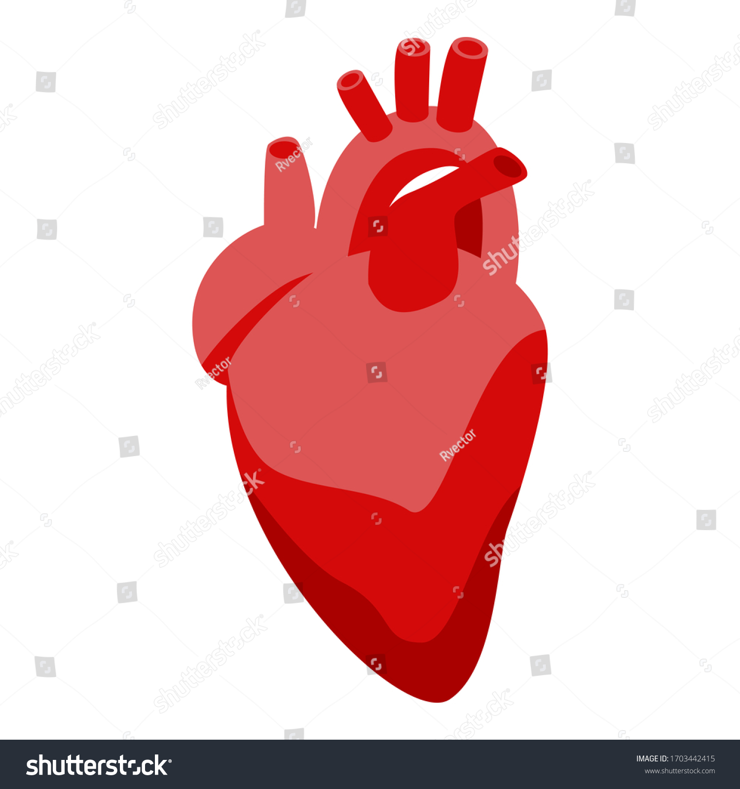 Donate Organs Human Heart Icon Isometric Stock Vector (Royalty Free ...