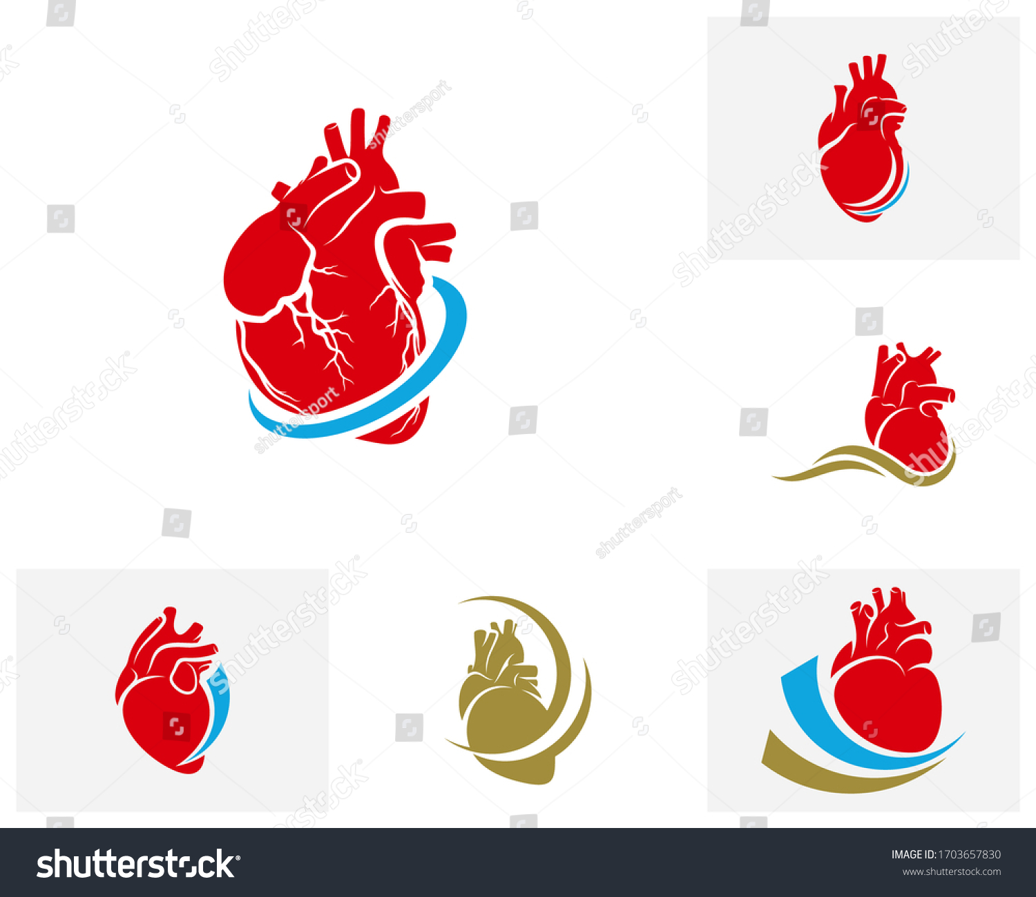 Set Human Heart Logo Vector Template Stock Vector (Royalty Free ...