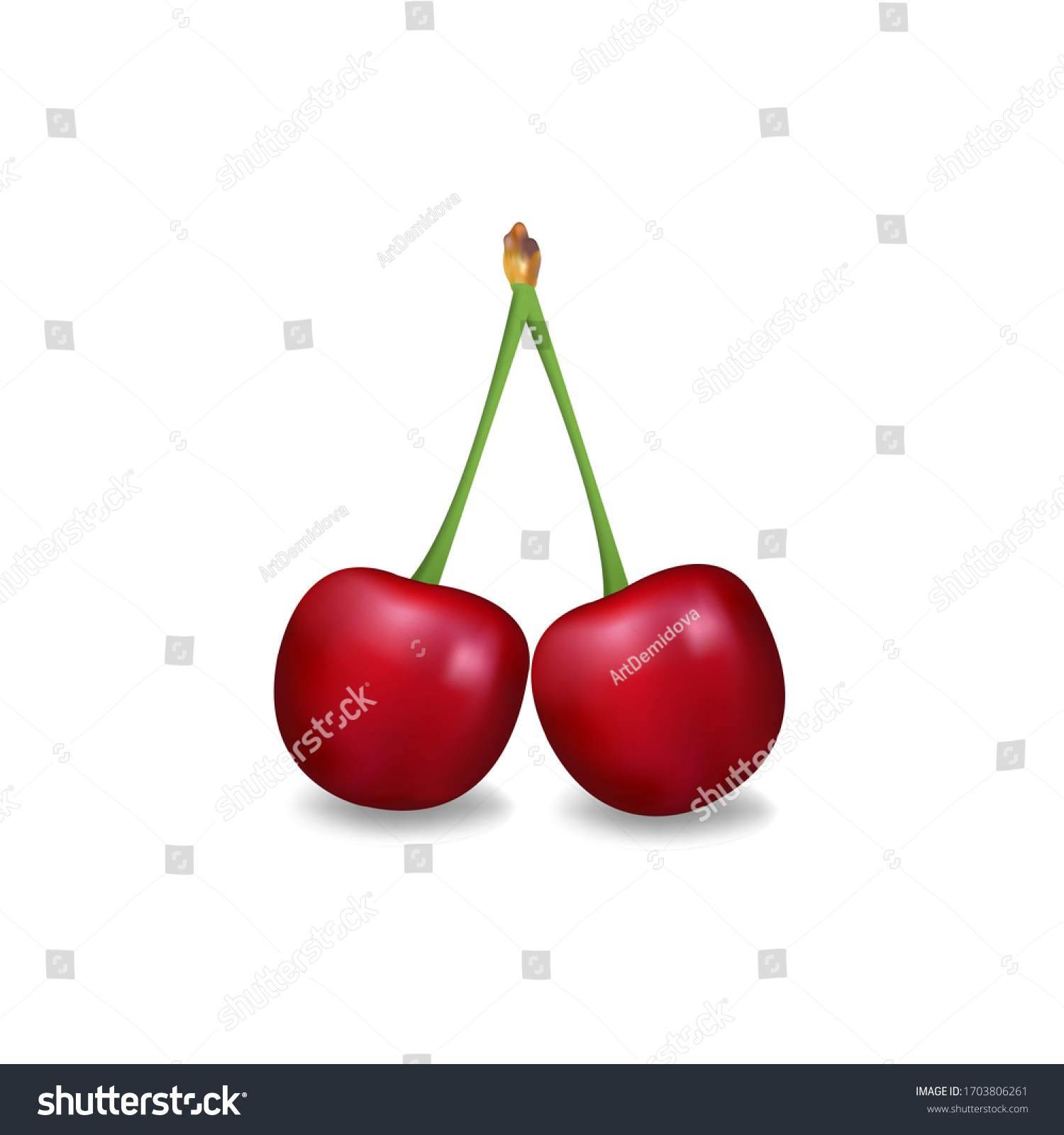Realistic Vector Cherries Illustration On White Stock Vector Royalty Free 1703806261 2943