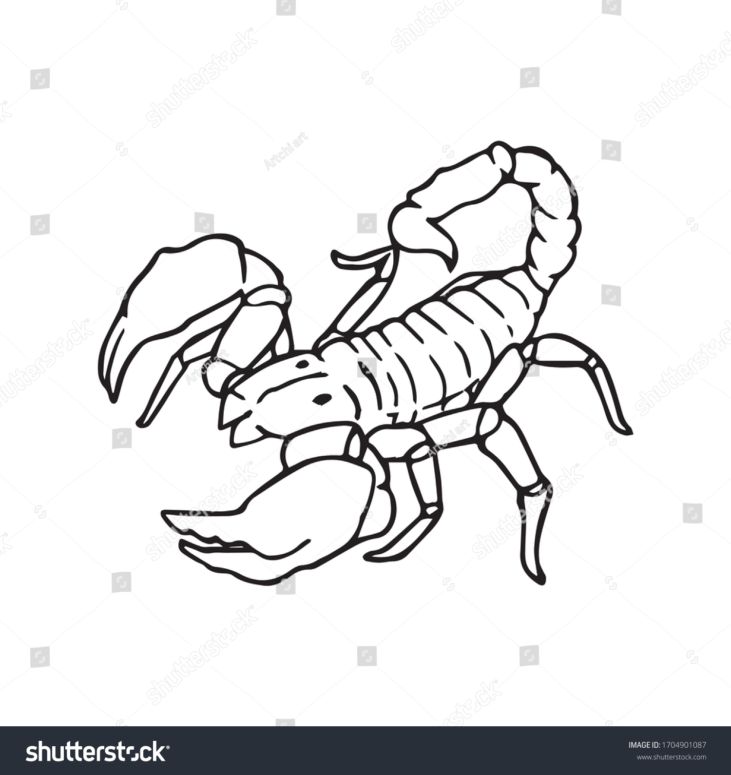 Scorpion Outline Hand Drawn Illustration Dangerous Stock Vector ...