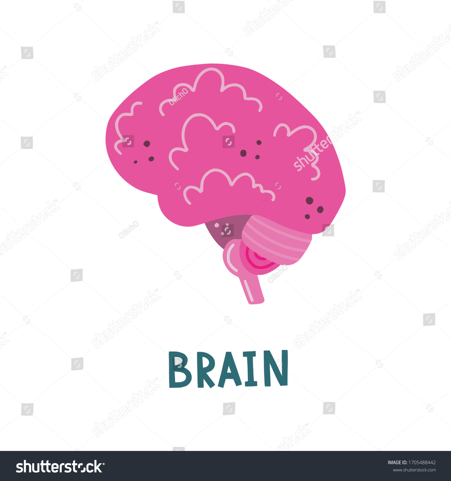 Vector Isolated Illustration Brain Cerebellum Brain Stock Vector Vector Isolated Illustration Brain Cerebellum Brain Stock Vector