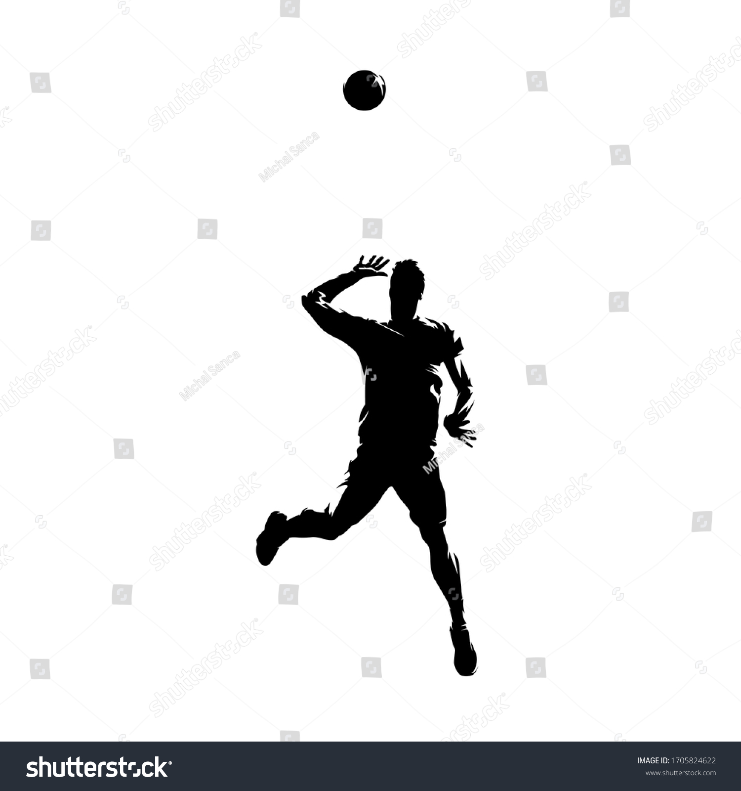 Volleyball Player Serving Ball Isolated Vector Stock Vector (Royalty ...