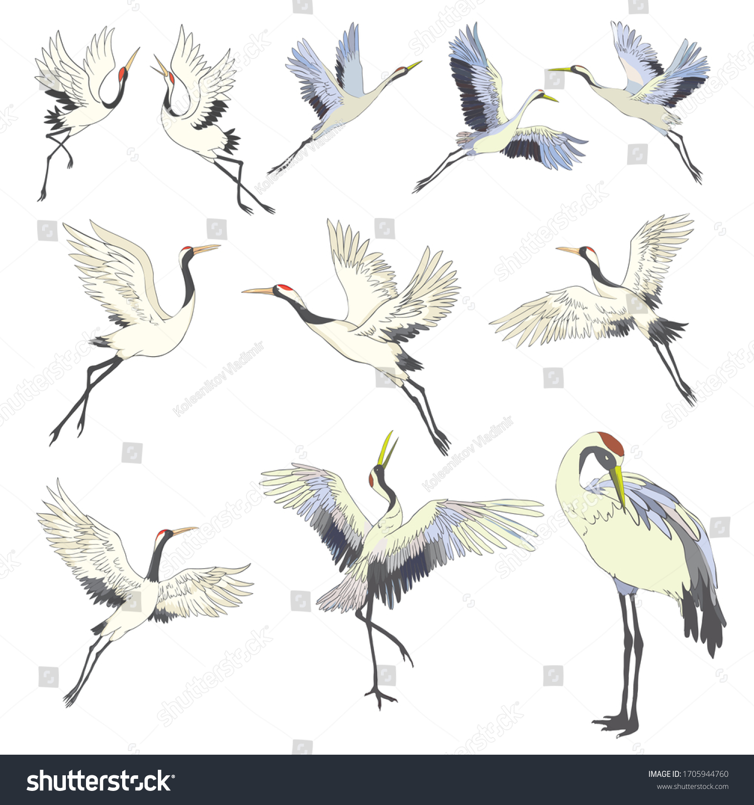 Crane Illustration Bird Flight Design Element Stock Vector (Royalty ...