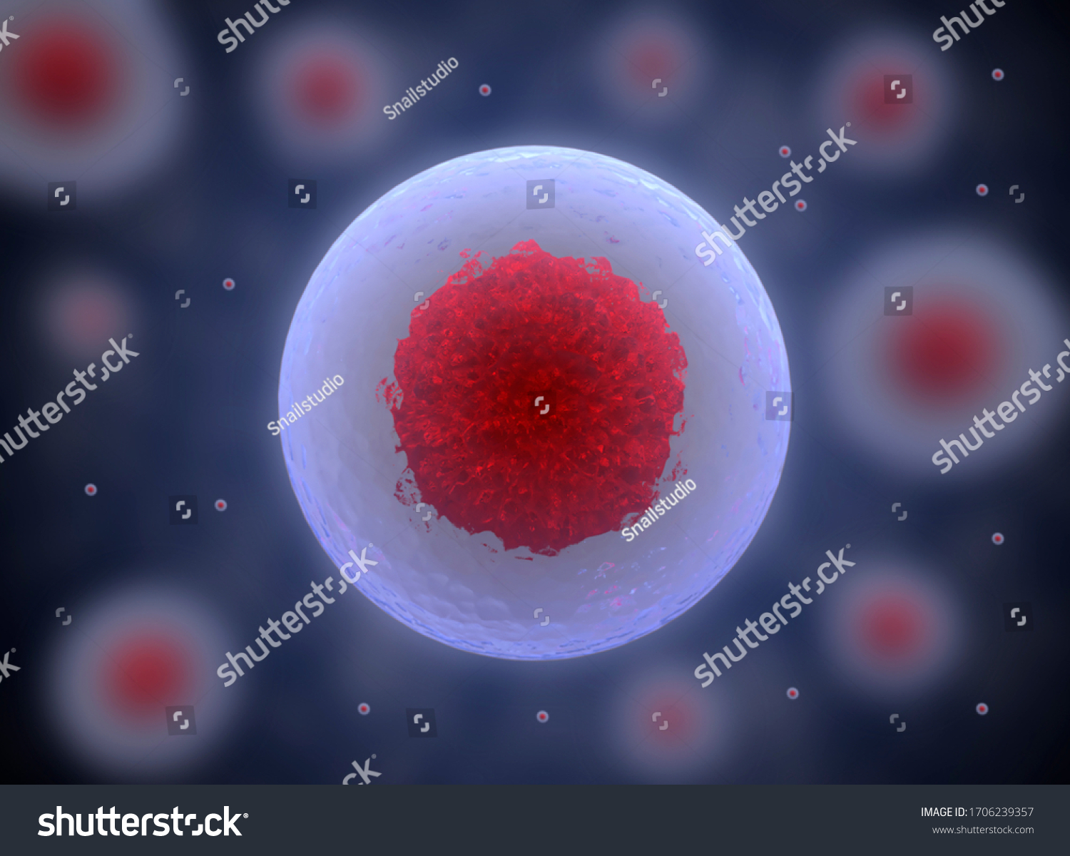 3d Stem Cell Nucleolus Nucleus Nucleus Stock Illustration 1706239357 ...