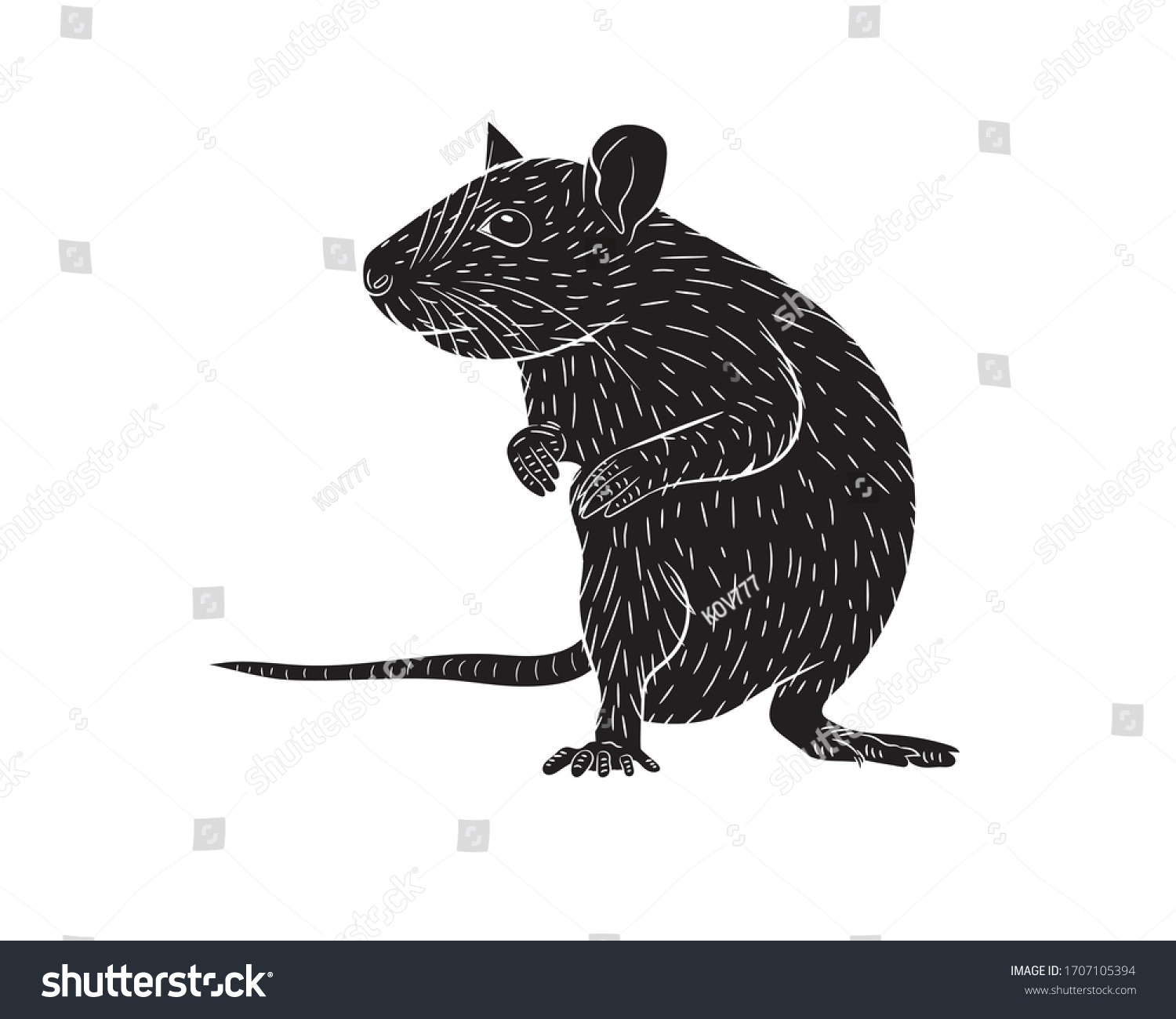 Graphic Illustration Black Silhouette Realistic Rat Stock Vector ...