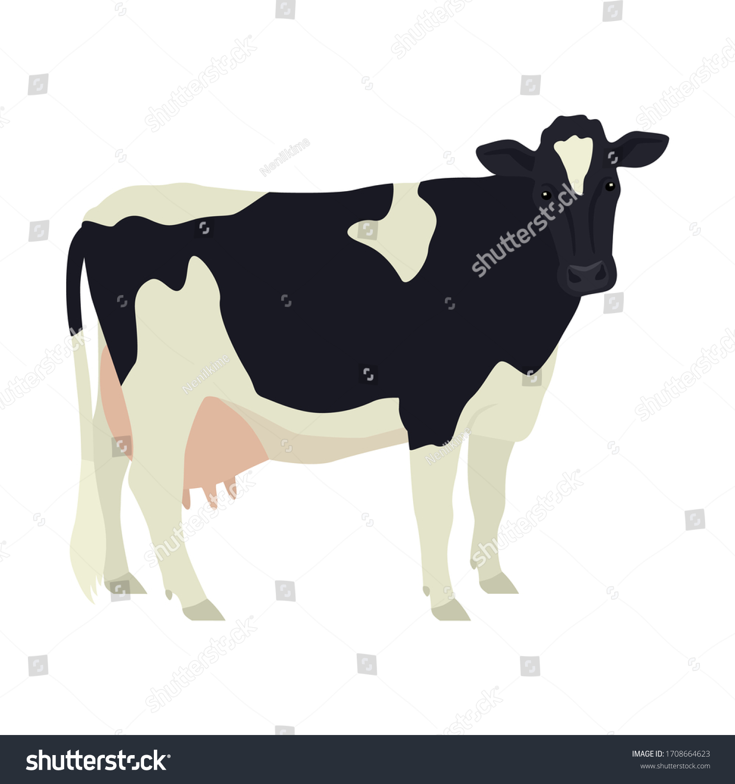 Holstein Friesian Cow Breeds Domestic Cattle Stock Vector (Royalty Free ...