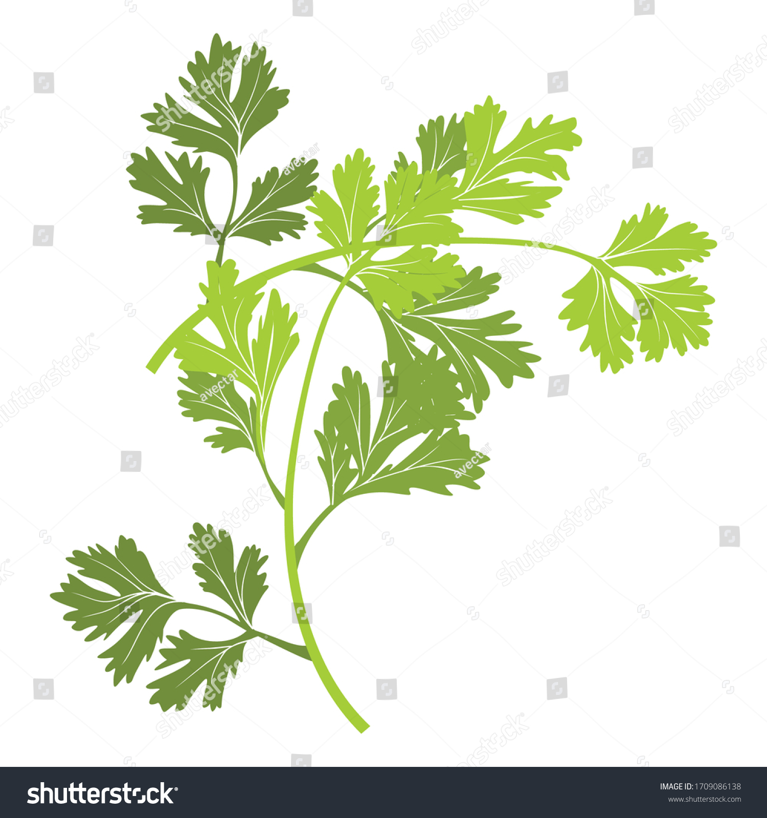 Green Celery Art Illustration Isolated On Stock Vector (Royalty Free ...