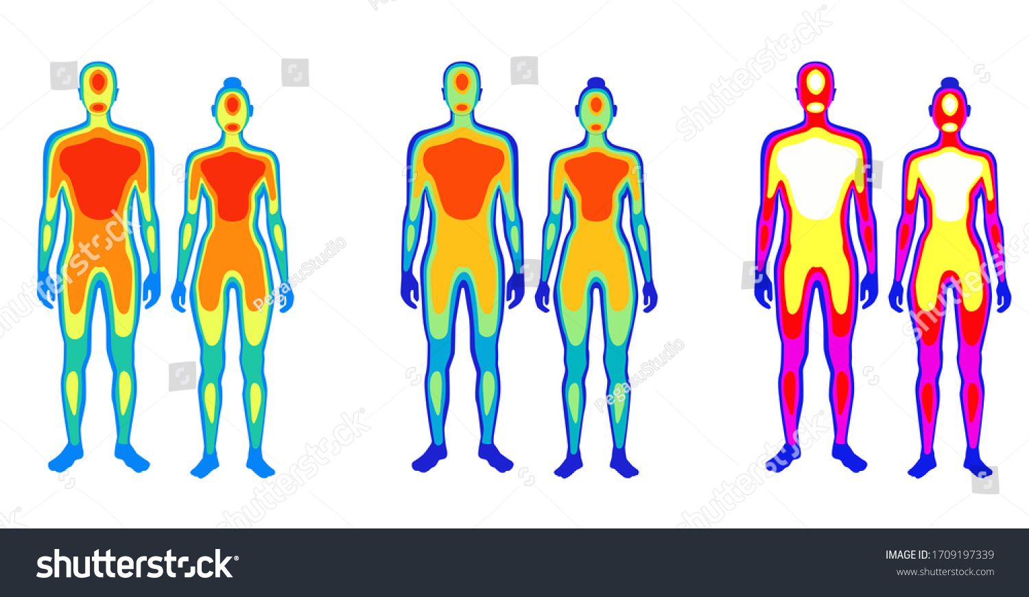 body heat radiation