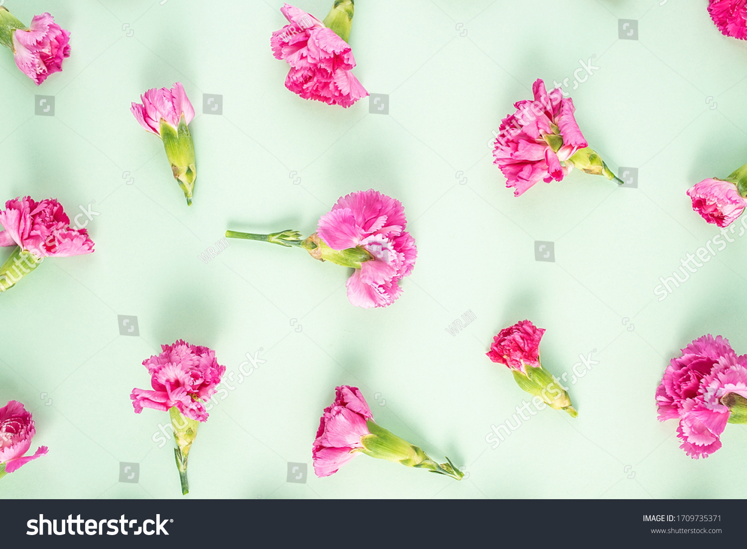 Beautiful Carnation Flower Poster Background Material Stock Photo ...