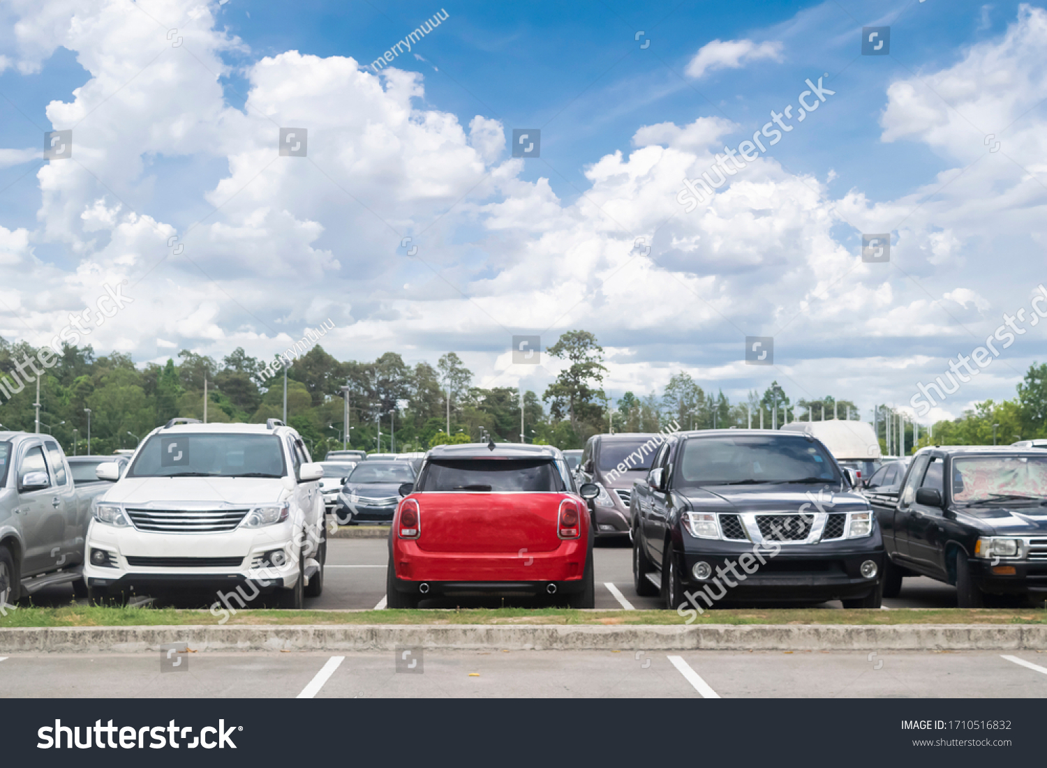 Car Parked Large Asphalt Parking Trees Stock Photo 1710516832 ...