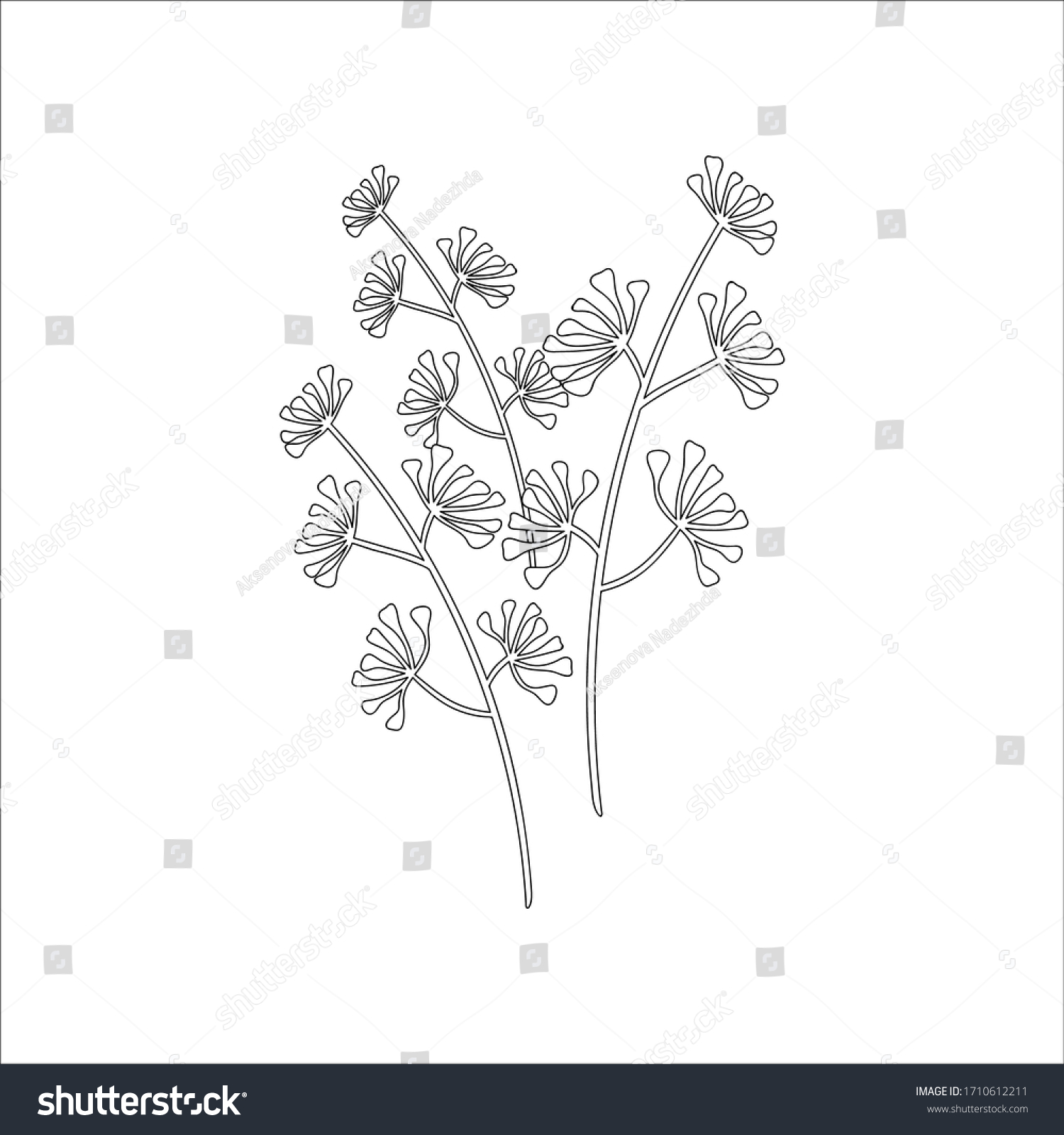 Hand Drawn Herbal Plants Isolated On Stock Vector (Royalty Free ...