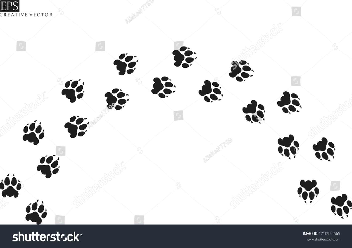 Tiger Paw Prints Wild Animal Silhouette Stock Vector (Royalty Free ...