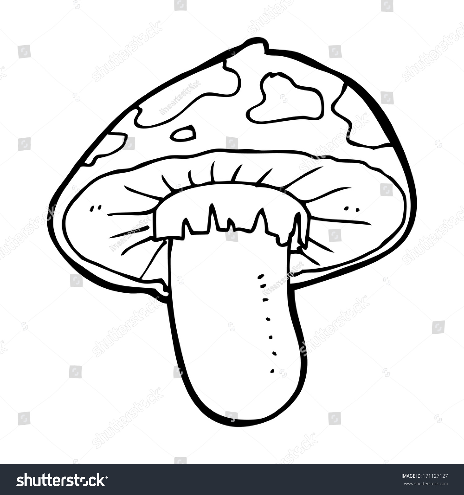 Cartoon Toadstool Stock Vector (royalty Free) 171127127 