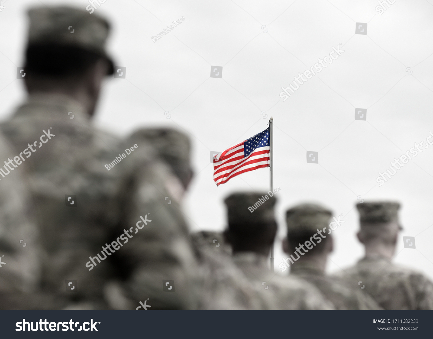 1,659 Patriotic Honoring Vietnam Veterans Images, Stock Photos ...