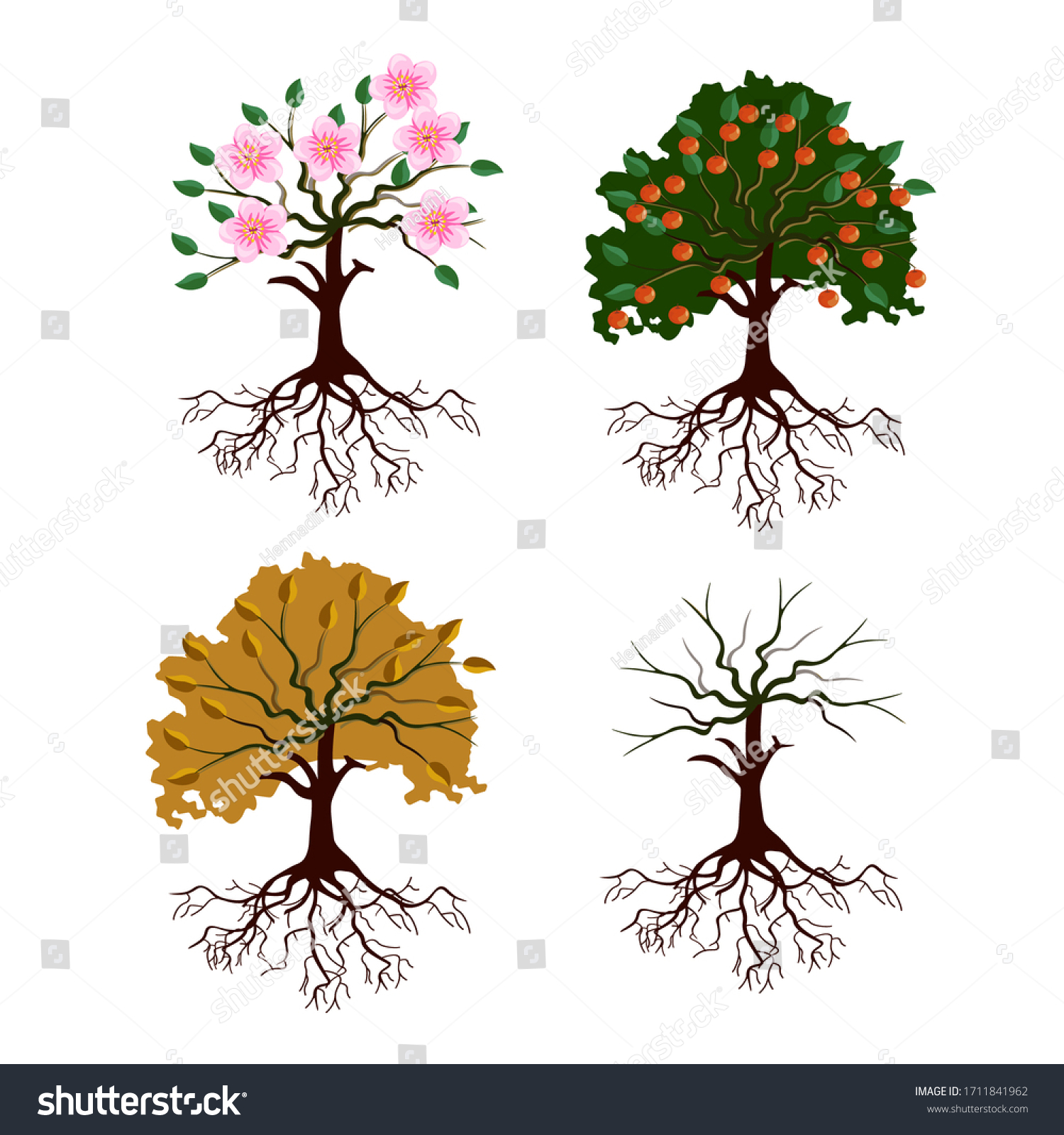 Apple Tree Different Seasons Spring Summer Stock Vector (Royalty Free ...