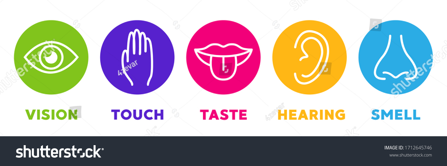 Five Senses Vector Icons Set Vision Stock Vector (Royalty Free ...