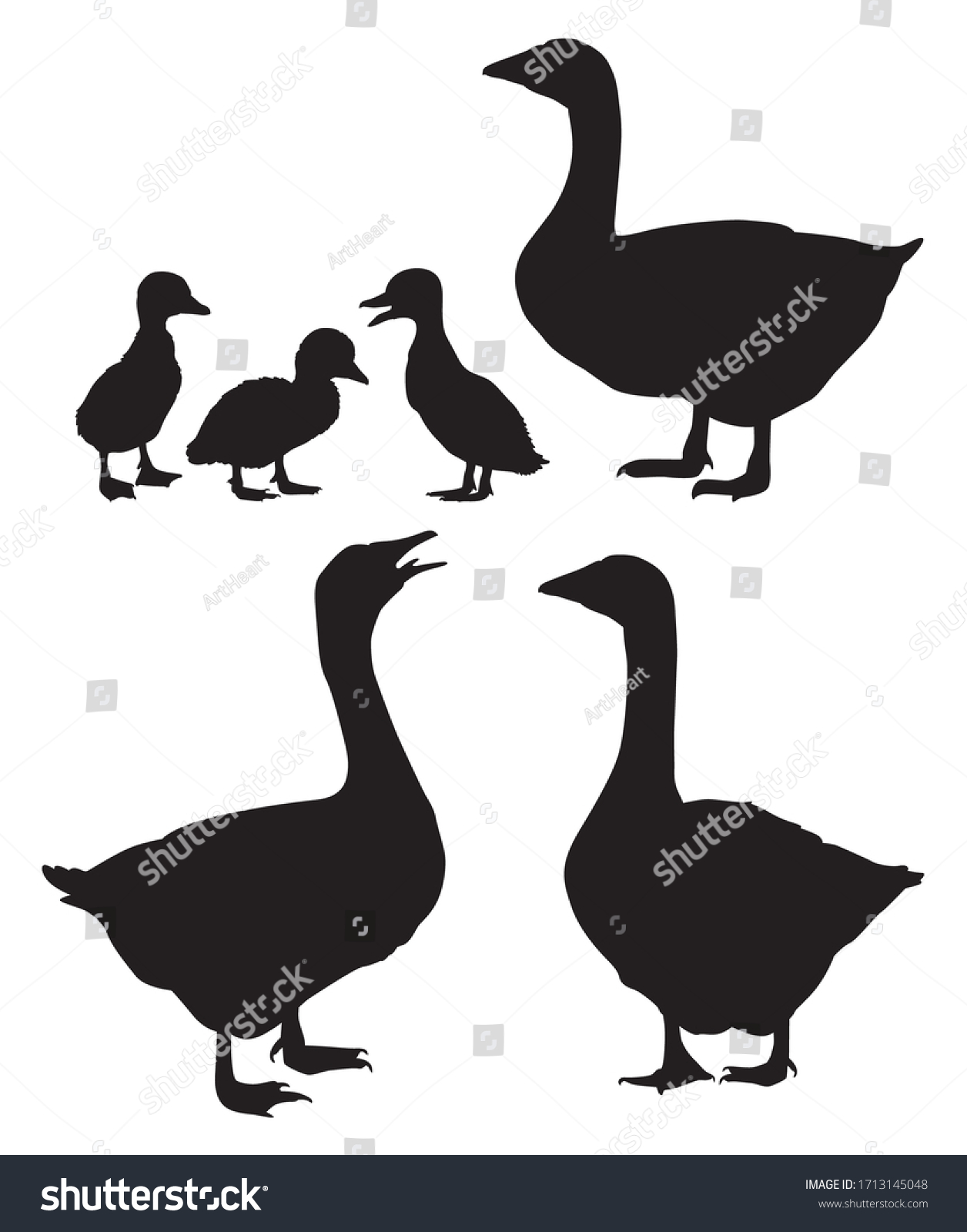 Black White Silhouettes Domestic Geese Different Stock Vector (Royalty ...