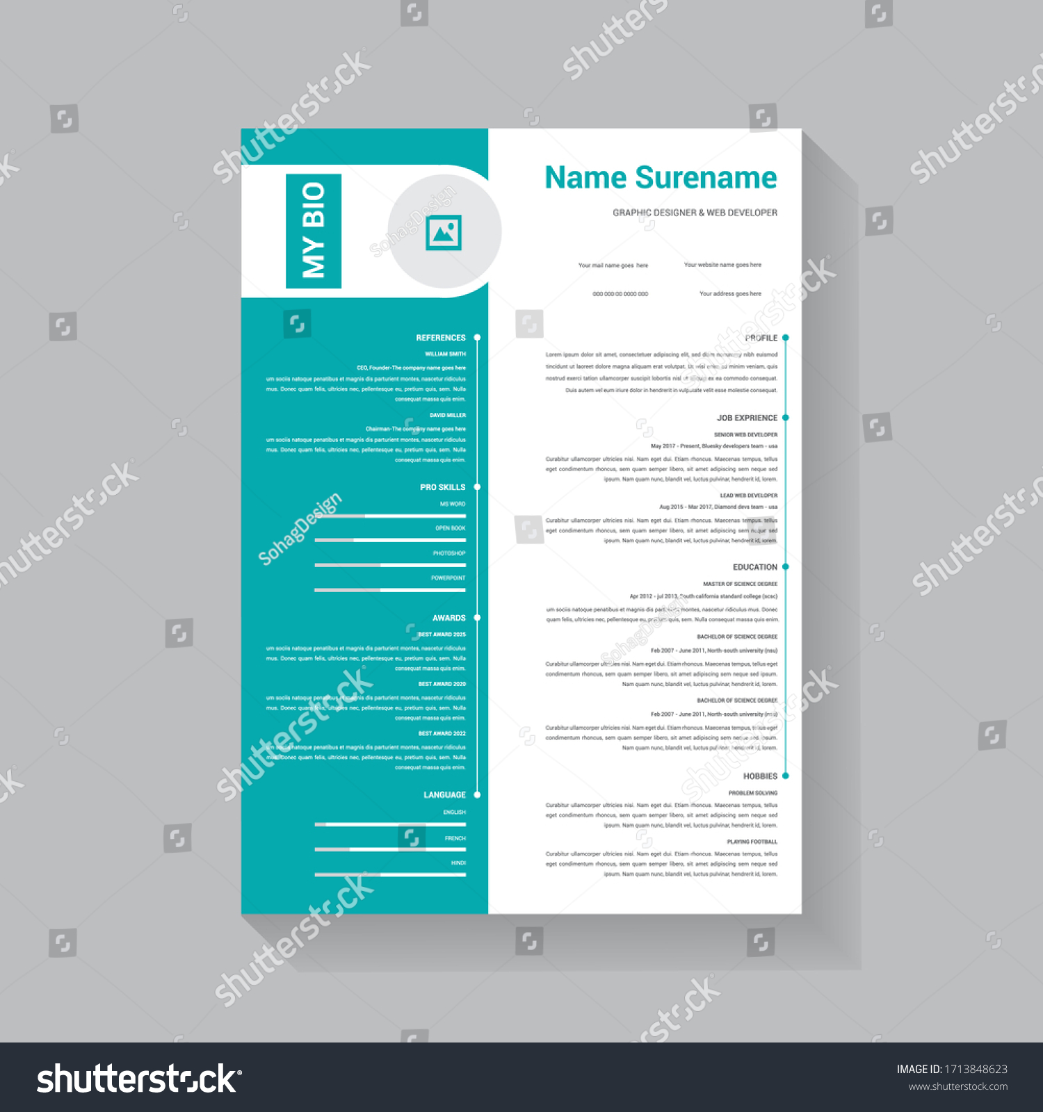 Modern Elegant Professional Resume Cv Vector Stock Vector (Royalty Free ...