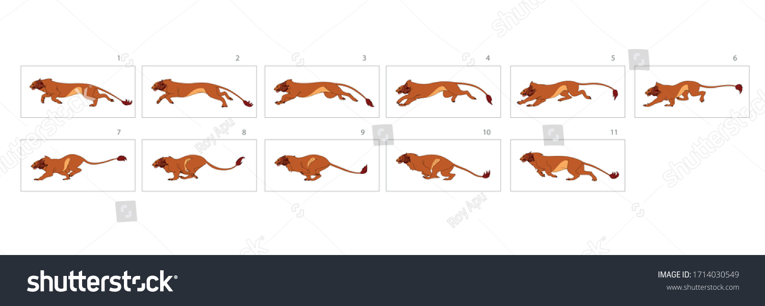 Lion Walk Cycle Animation Lion Jump Stock Vector (Royalty Free ...