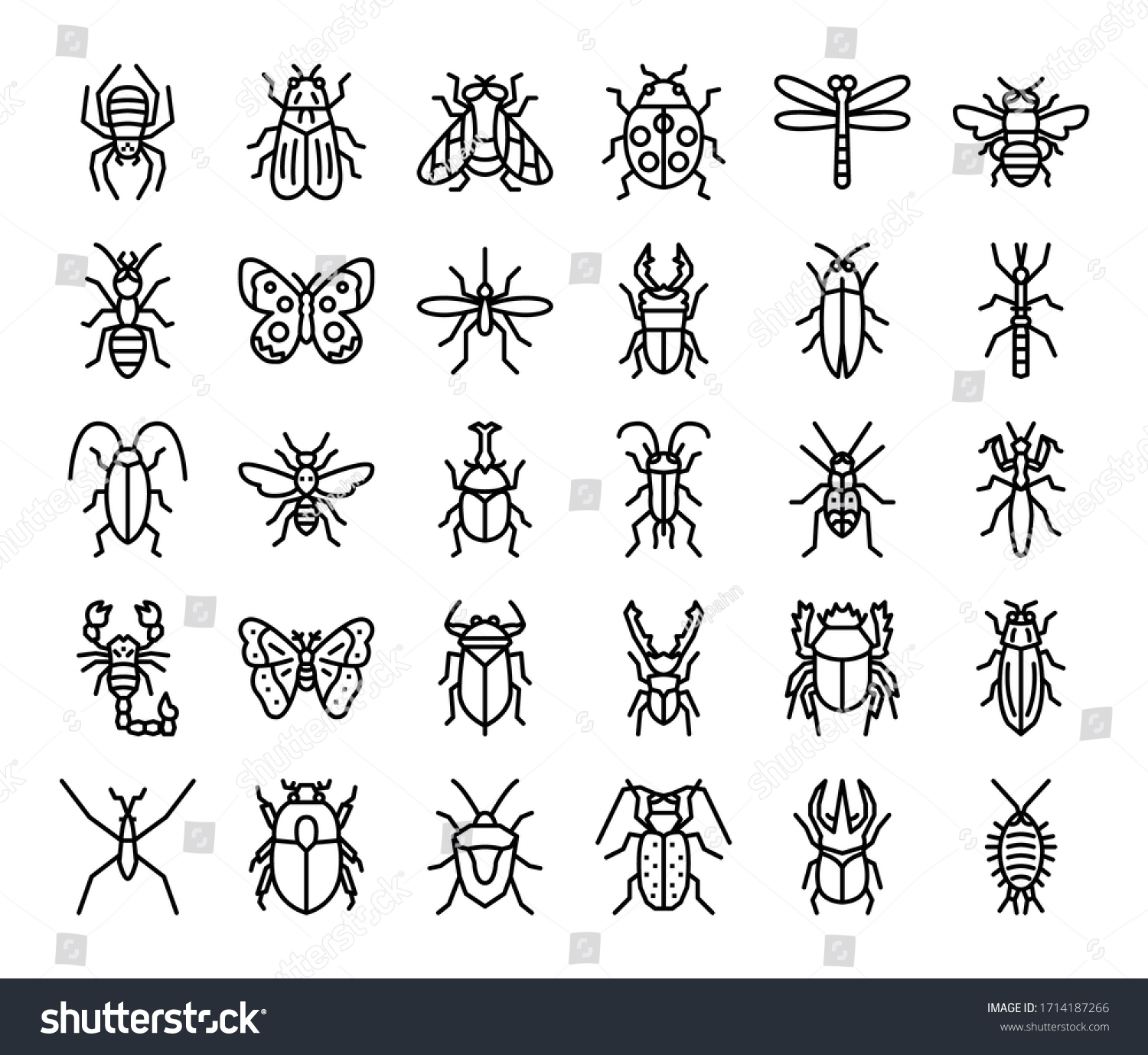 Insect Outline Vector Icons Bug Garden Stock Vector (Royalty Free ...