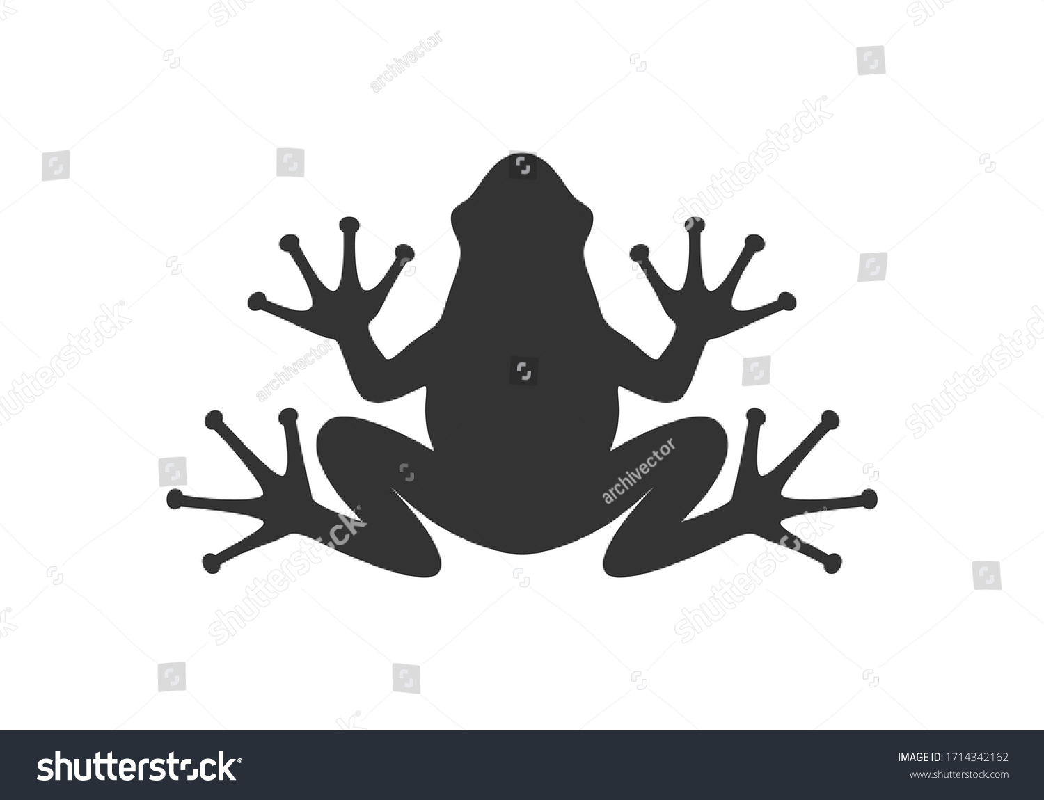 Лягушка символ