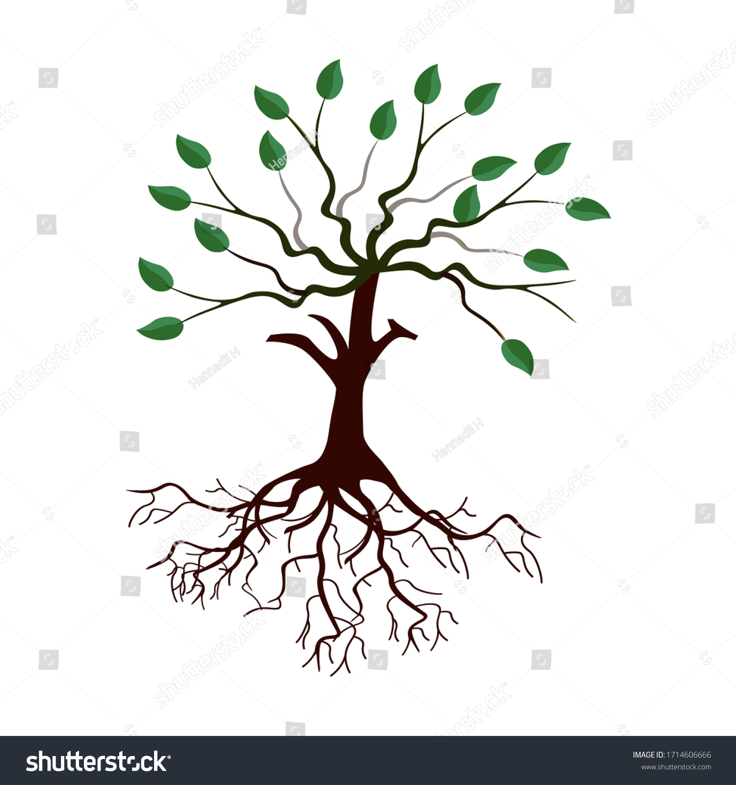 Cartoon Tree Roots Leaves Vector Illustration Stock Vector (Royalty ...