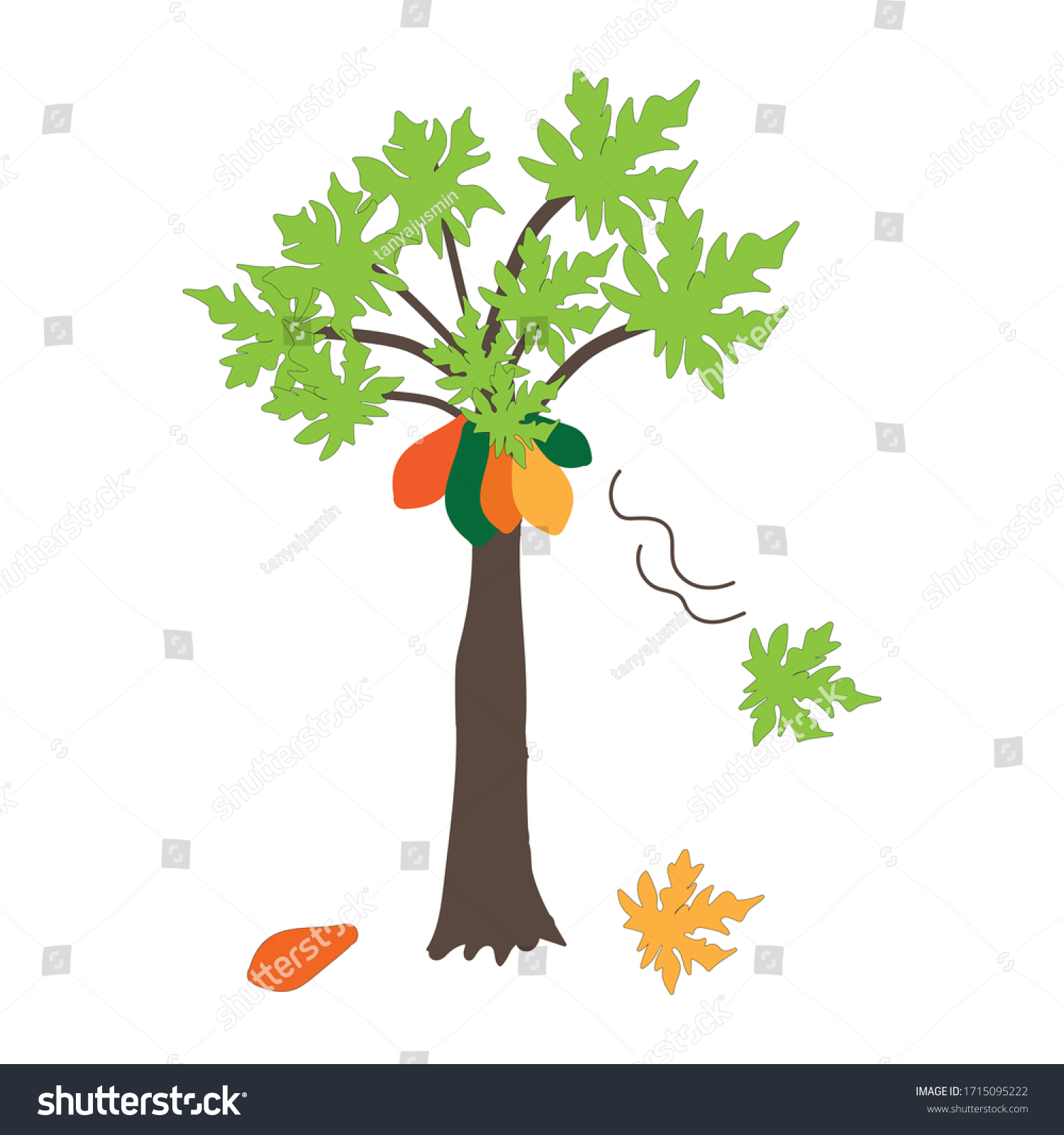 412 Papaya Tree Cartoon Images, Stock Photos & Vectors | Shutterstock