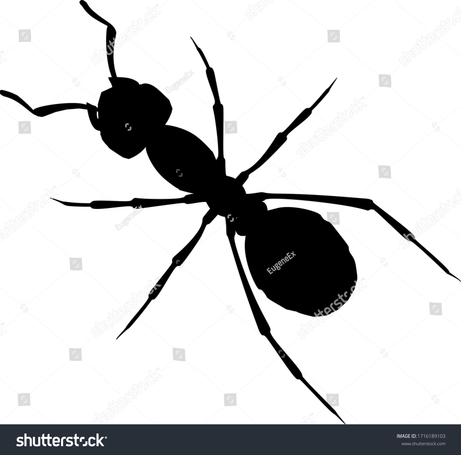 Realistic Ant Vector On White Background Stock Vector (Royalty Free ...