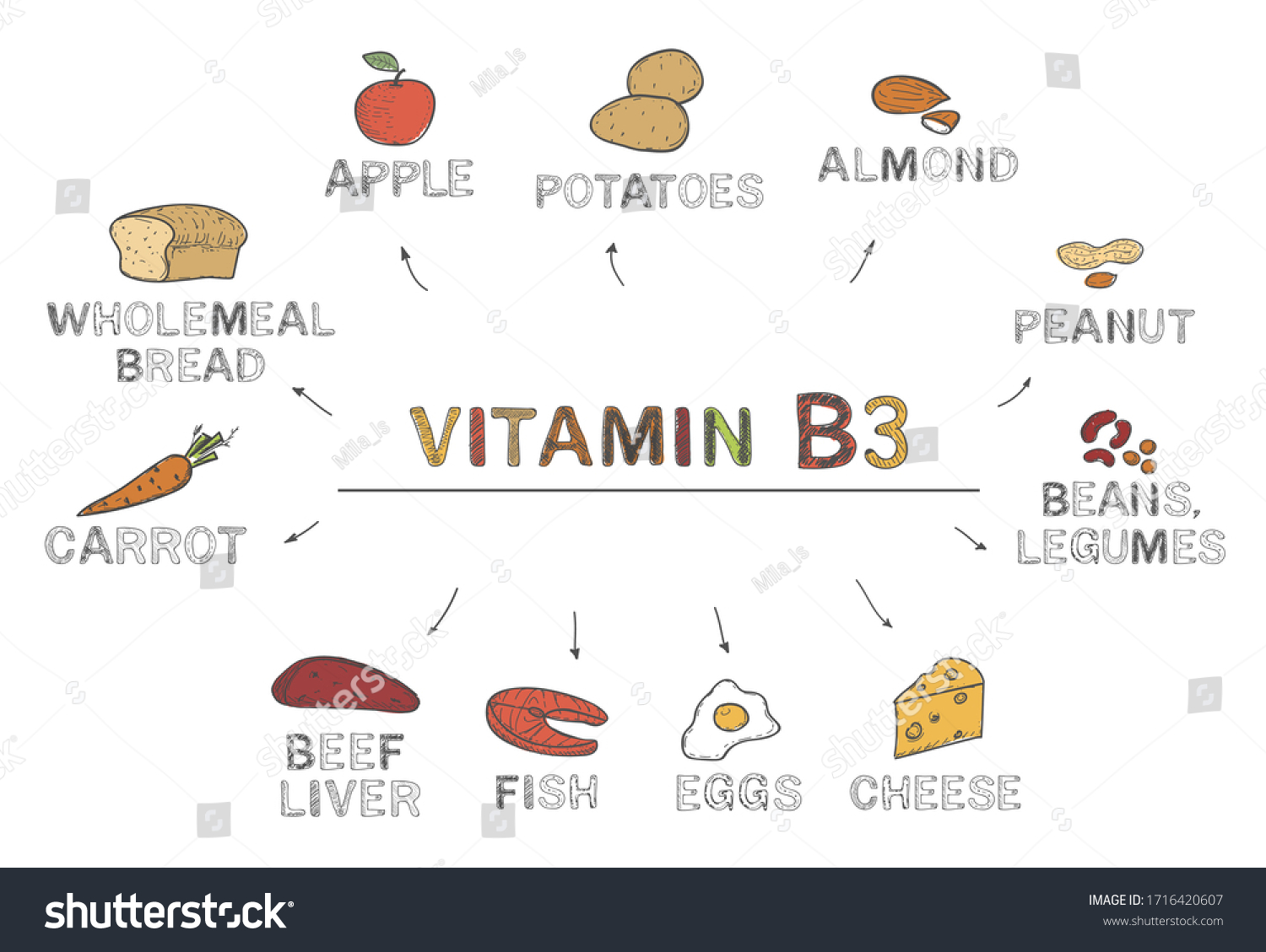 Vitamin B3 Niacin Foods Rich B3 Stock Vector Royalty Free 1716420607 Shutterstock 5678