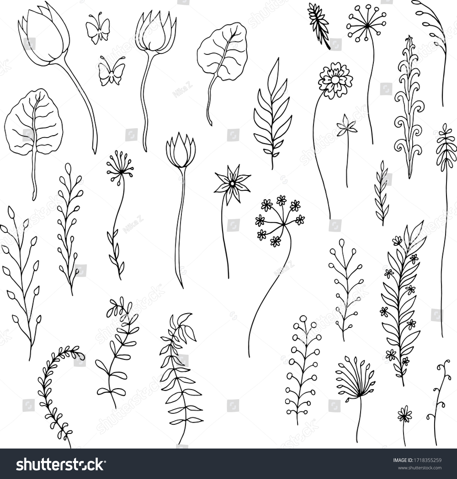 Black White Vector Set Collection Plants Stock Vector (Royalty Free ...