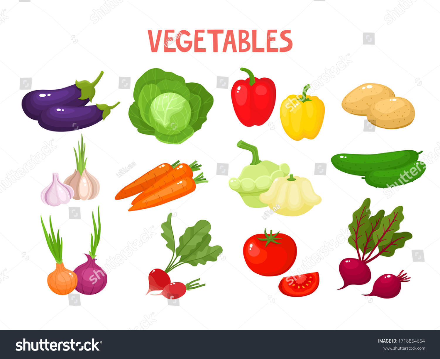 Bright Vector Illustration Colorful Vegetables Fresh Stock Vector ...