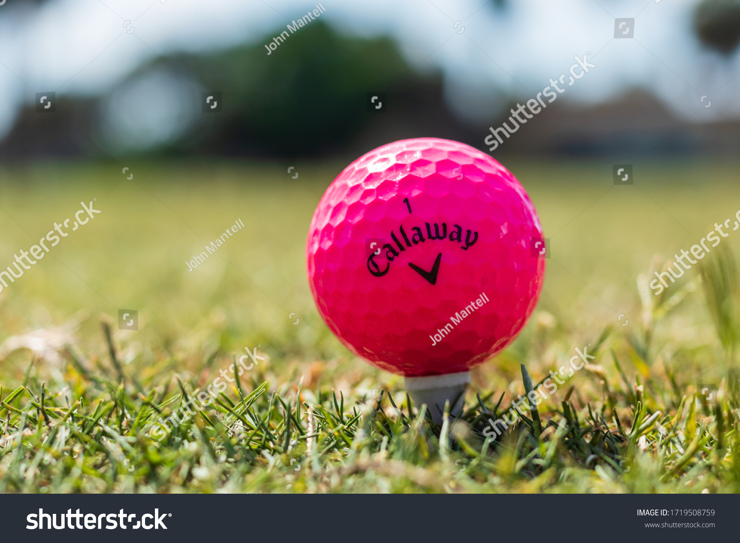 pink golf clubs crossed