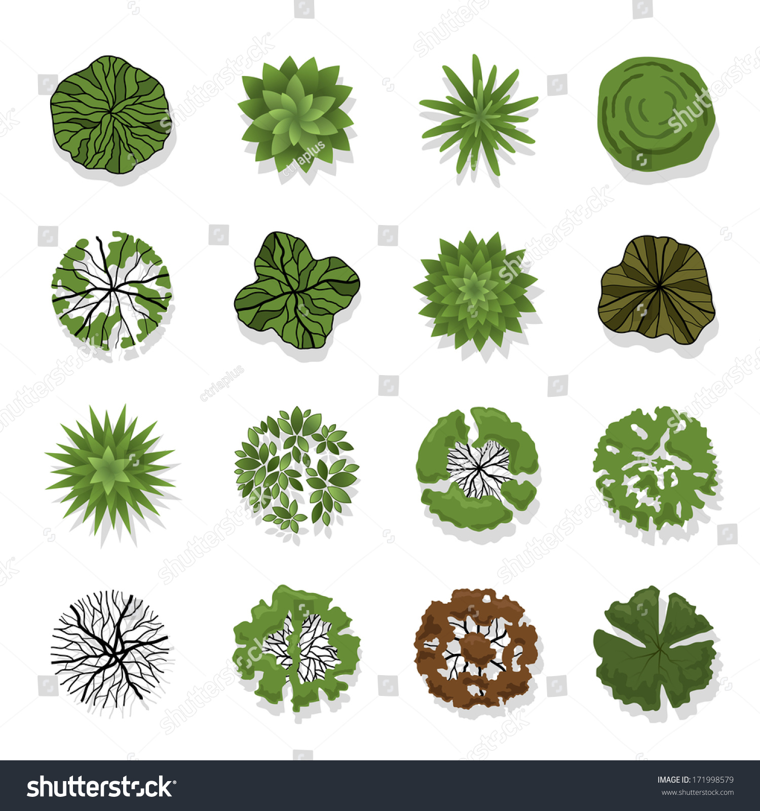 Trees Top View Landscape Vector Illustration Stock Vector (Royalty Free ...