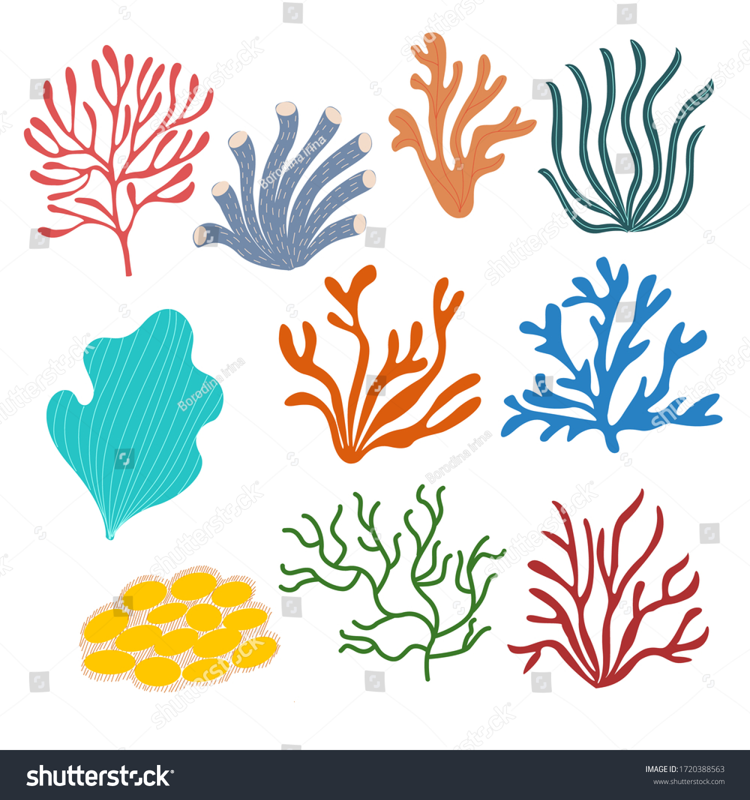 Set Sea Corals On White Background Stock Vector (Royalty Free ...