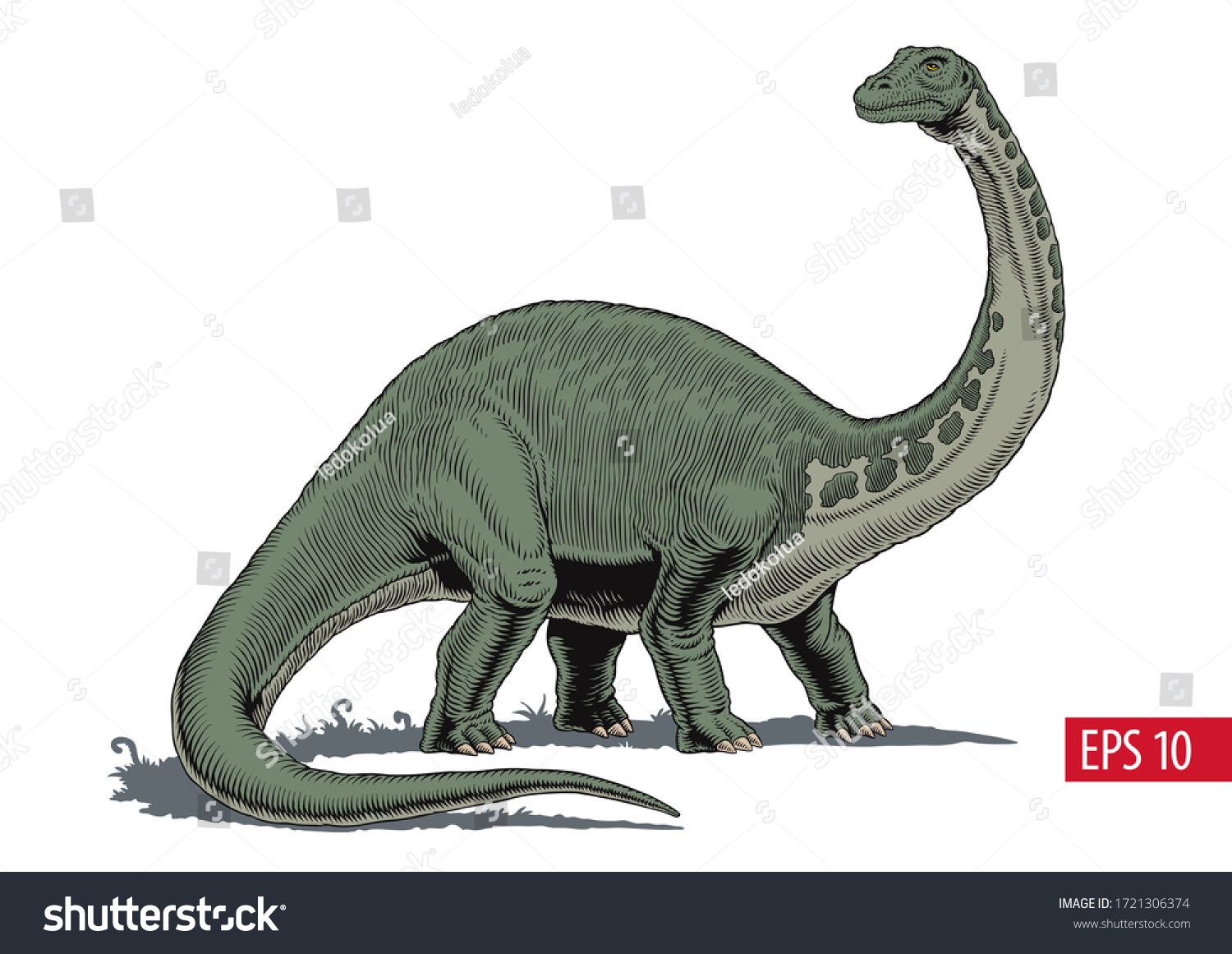 Бронтозавр и Диплодок отличия