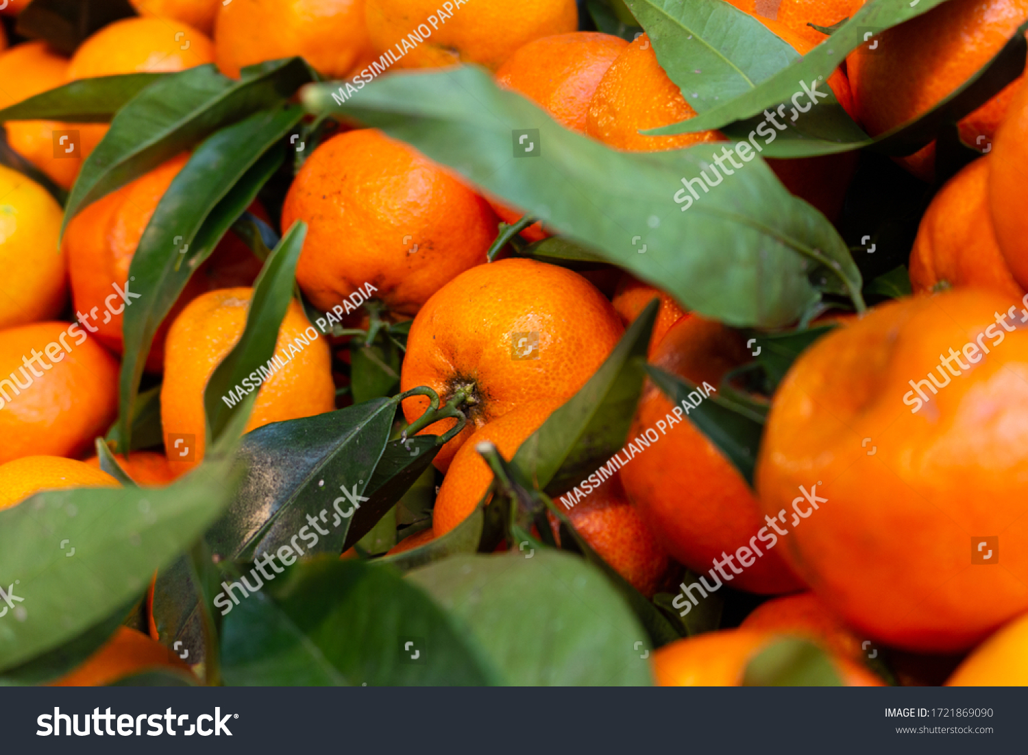 1 Manderinimandarin Images, Stock Photos & Vectors | Shutterstock